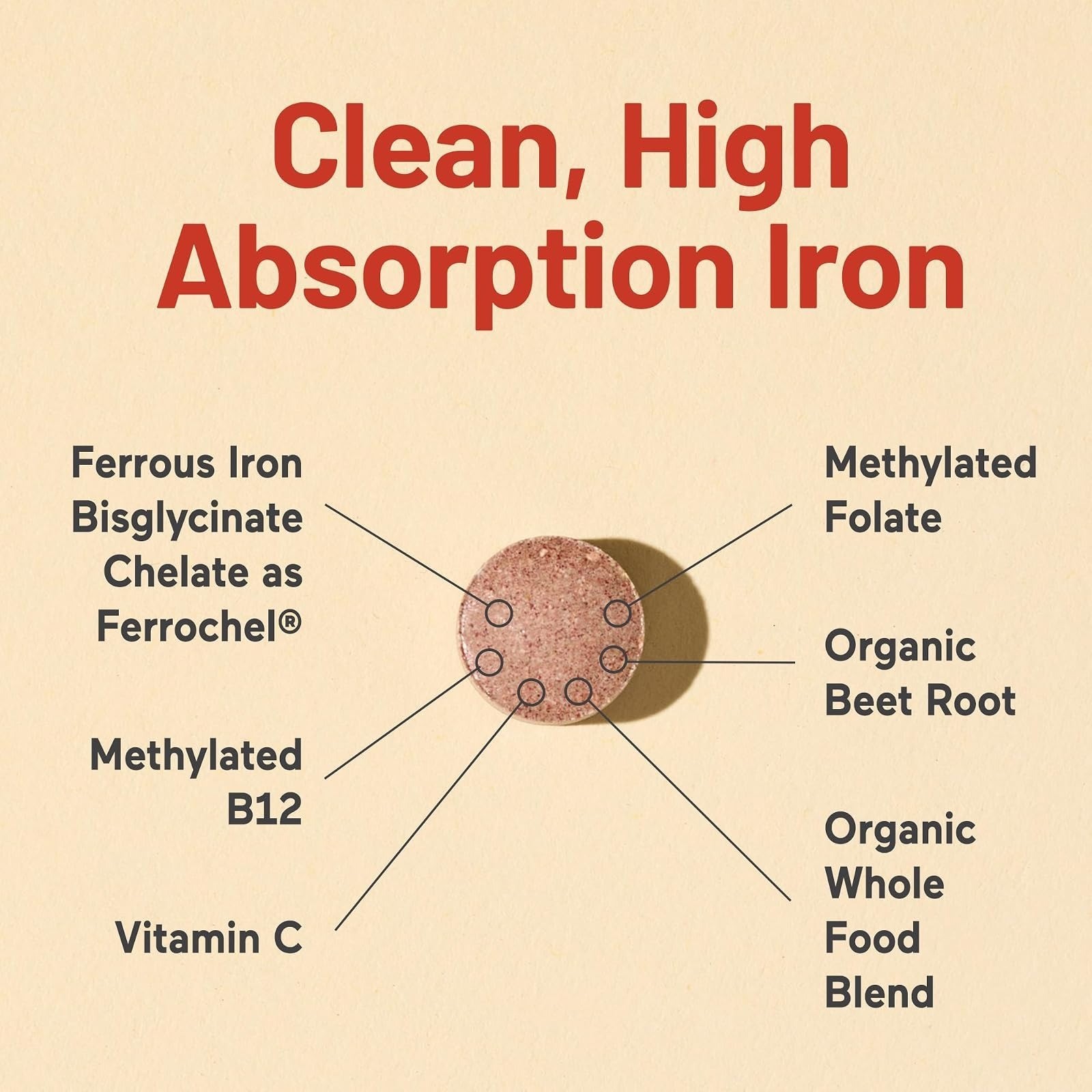 NatureWise Vegan Iron Supplement – High Absorption – 30 Tablets
