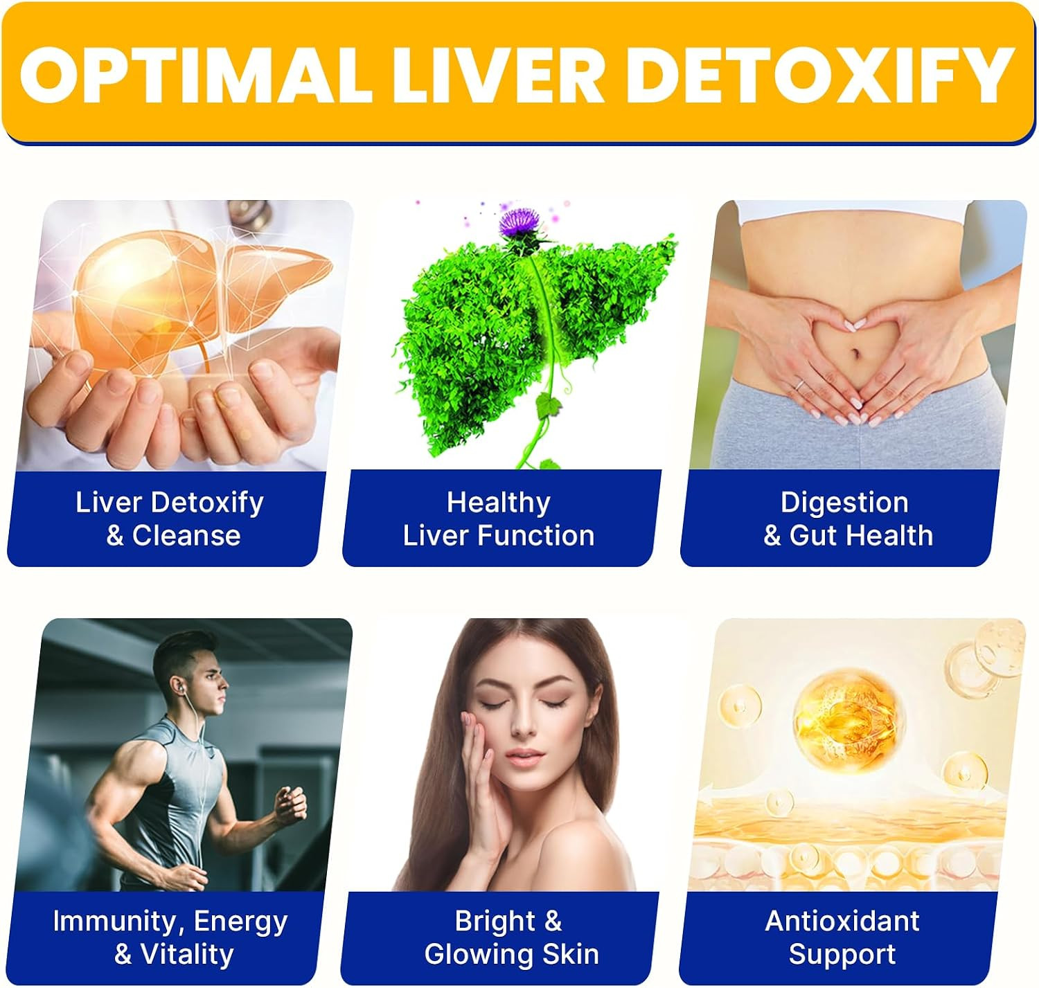 Liver Detoxify Repair & Cleanse, with Akkermansia & Milk Thistle, 60 Caps | Deto