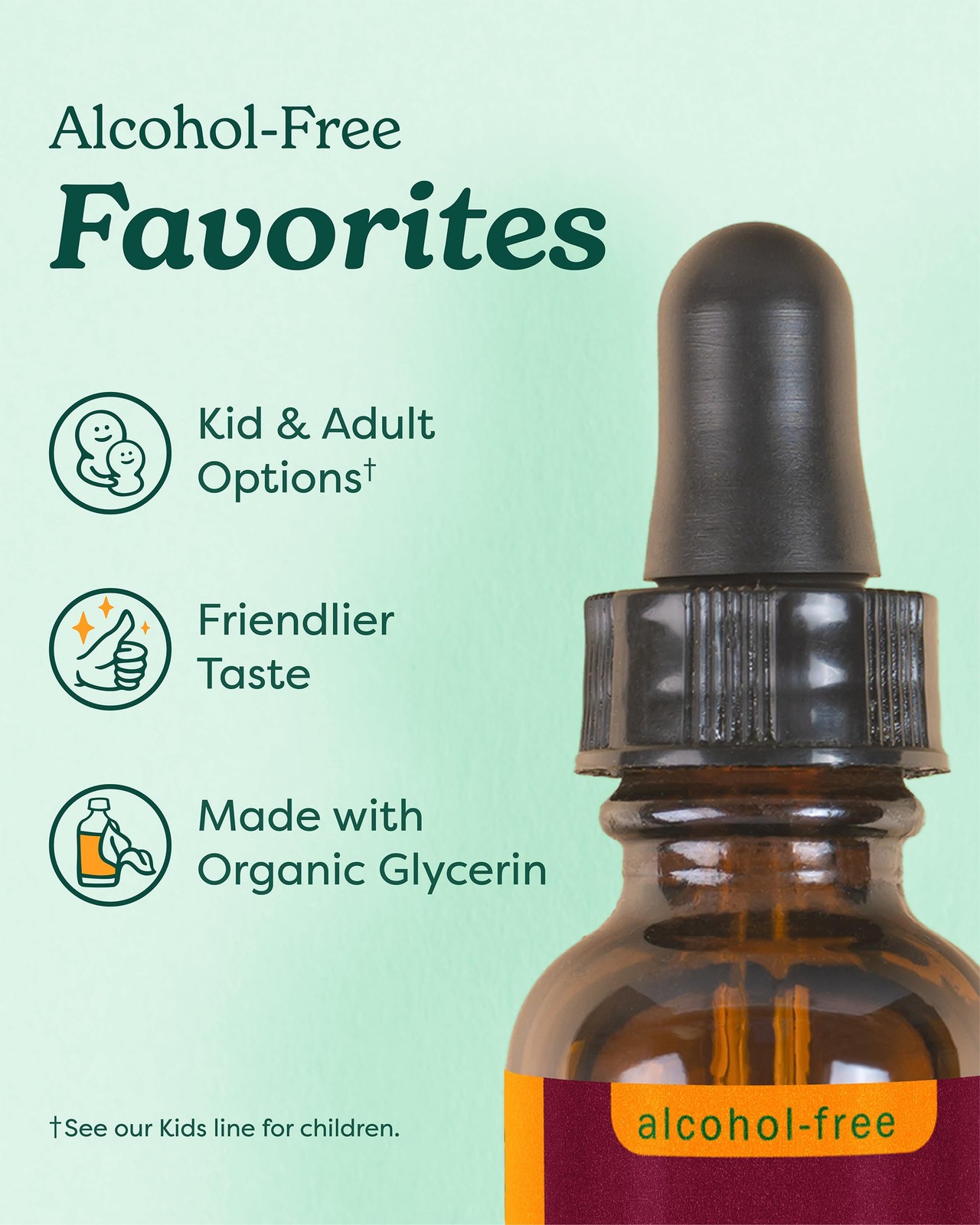 Herb Pharm Kids Echinacea Extract Alcohol-Free 1 Fl Oz (Pack of 1), No Color