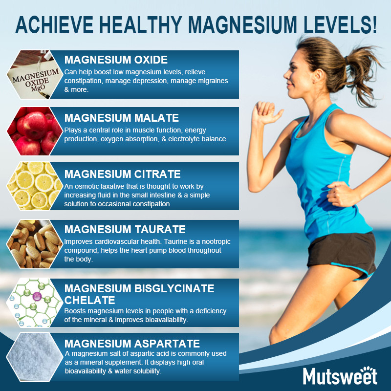 Magnesium Complex 500mg, 360Capsules – Gluten Free and Non-GMO