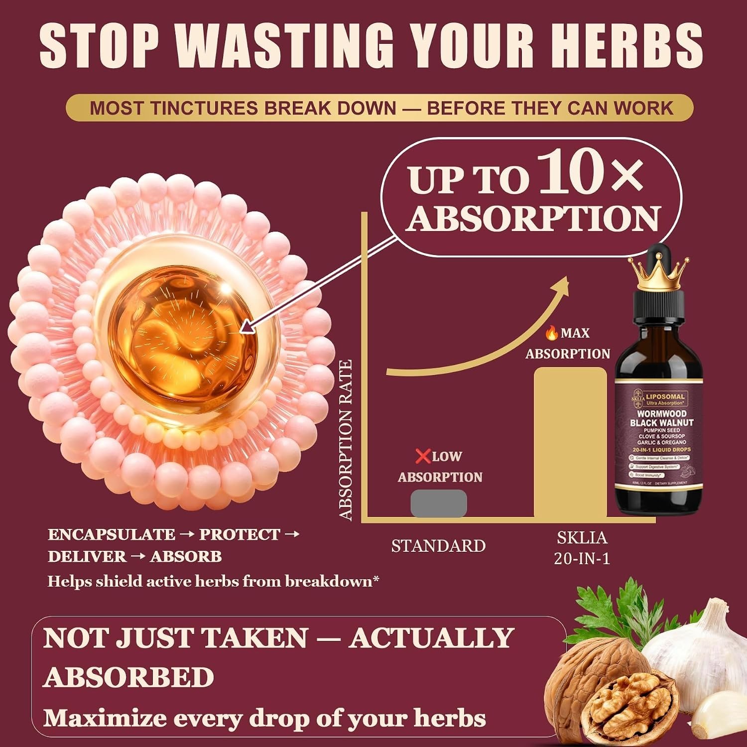 Rapid Absorption Liposomal Cleanse Drops | 20 Botanicals for Digestive Support