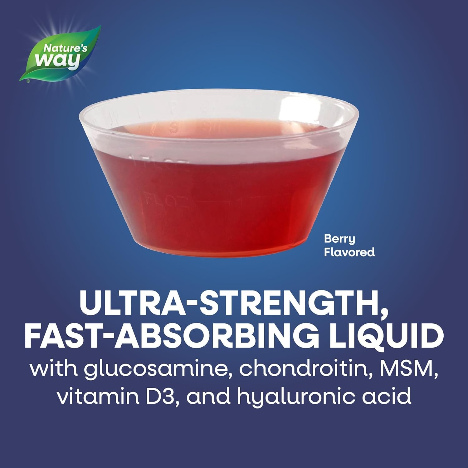 Nature’s Way Joint Movement Glucosamine Fast Absorbing 16 Fl Oz (Pack of 1)