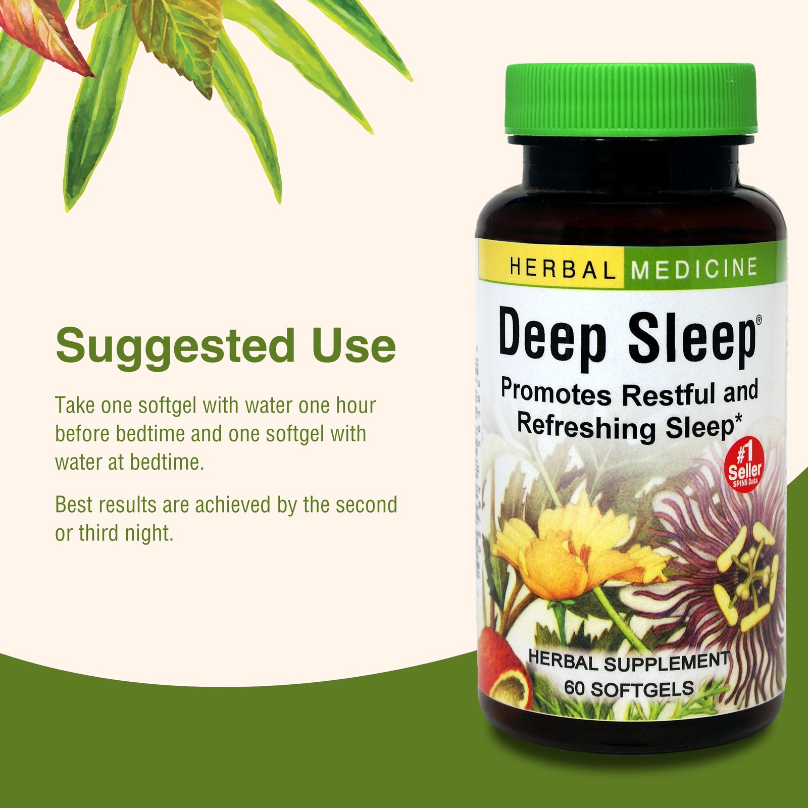 Herbs Etc. Deep Sleep Soft Gels – 60 Count (Pack of 1)