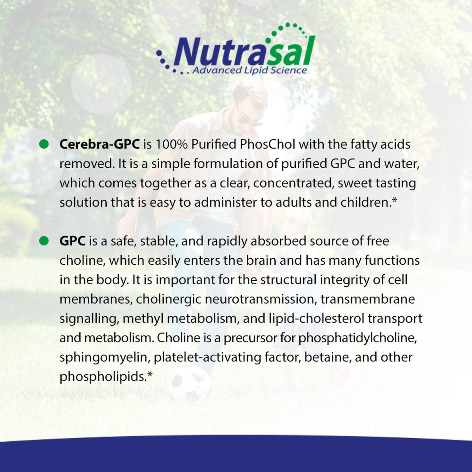 Nutrasal Cerebra GPC Liquid – 2 Fl. Oz. (60mL)