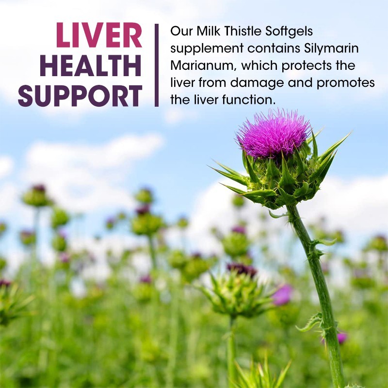 Organic Vitamin Milk Thistle Extract 1200mg Extra Strength Liver Cleanse 120Caps