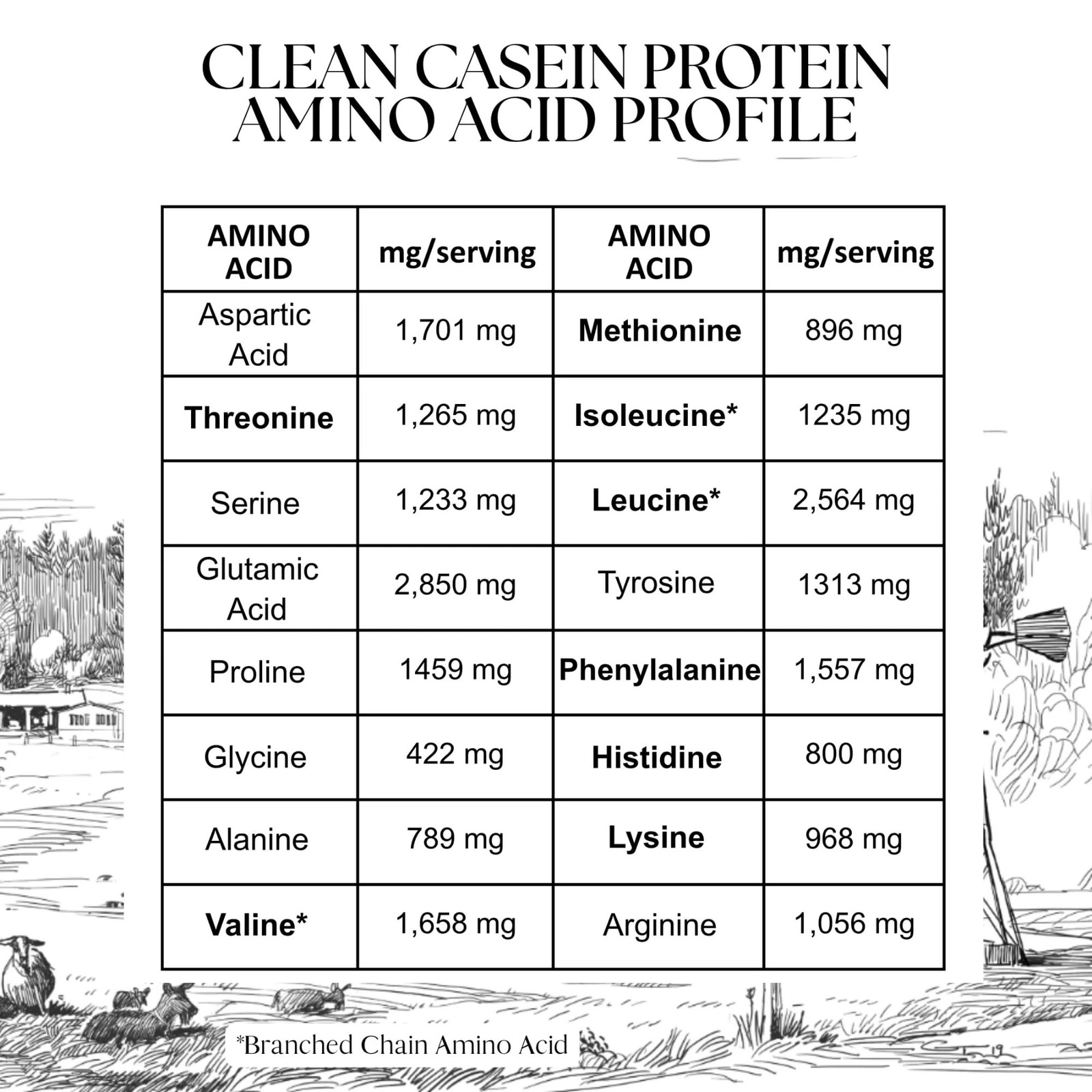 Clean Casein Protein by Mt. Capra | Easy-to-Digest Goat Casein Protein, 26 G …