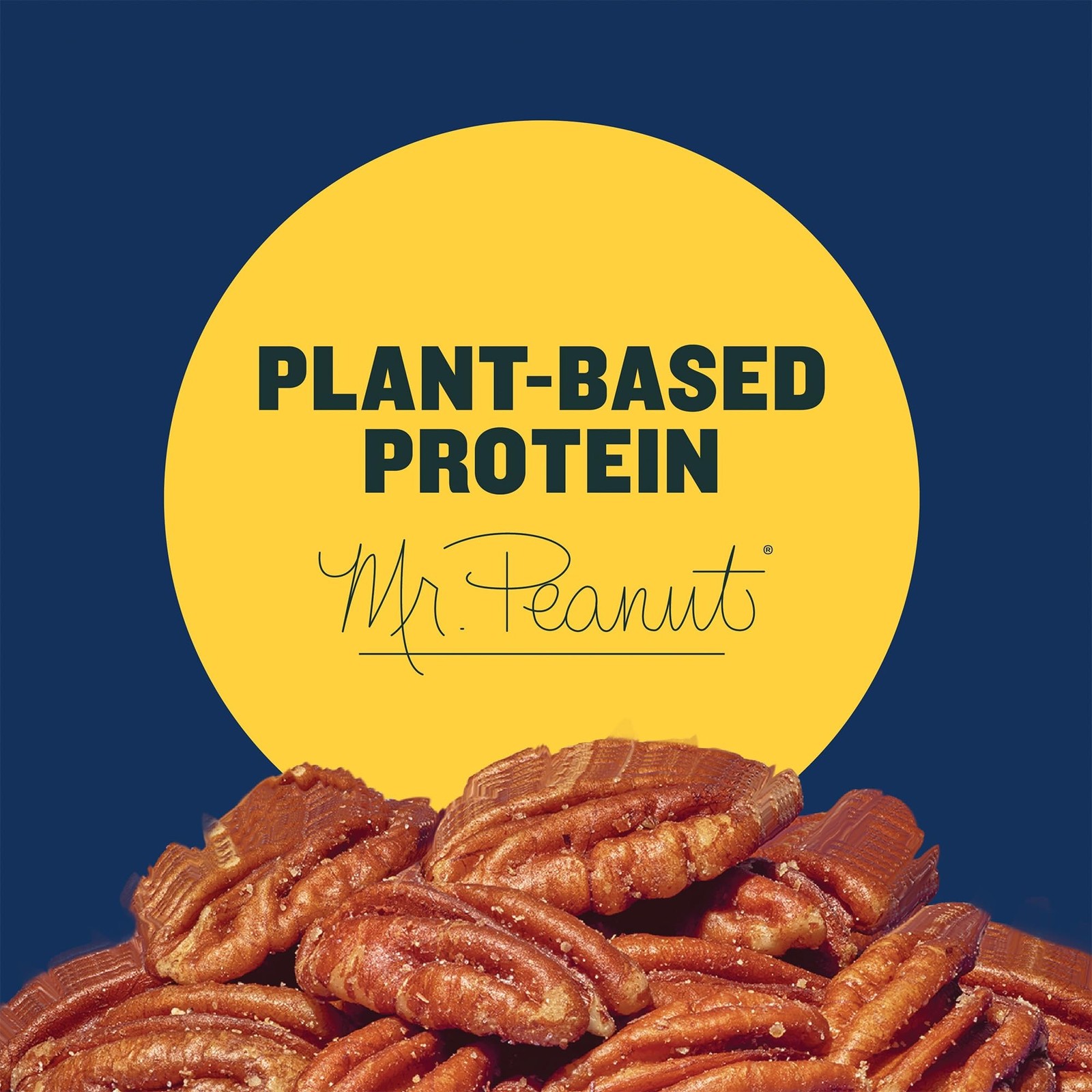 PLANTERS Roasted Pecan Nuts, Baking 7.25 oz (Pack of 1), Blue