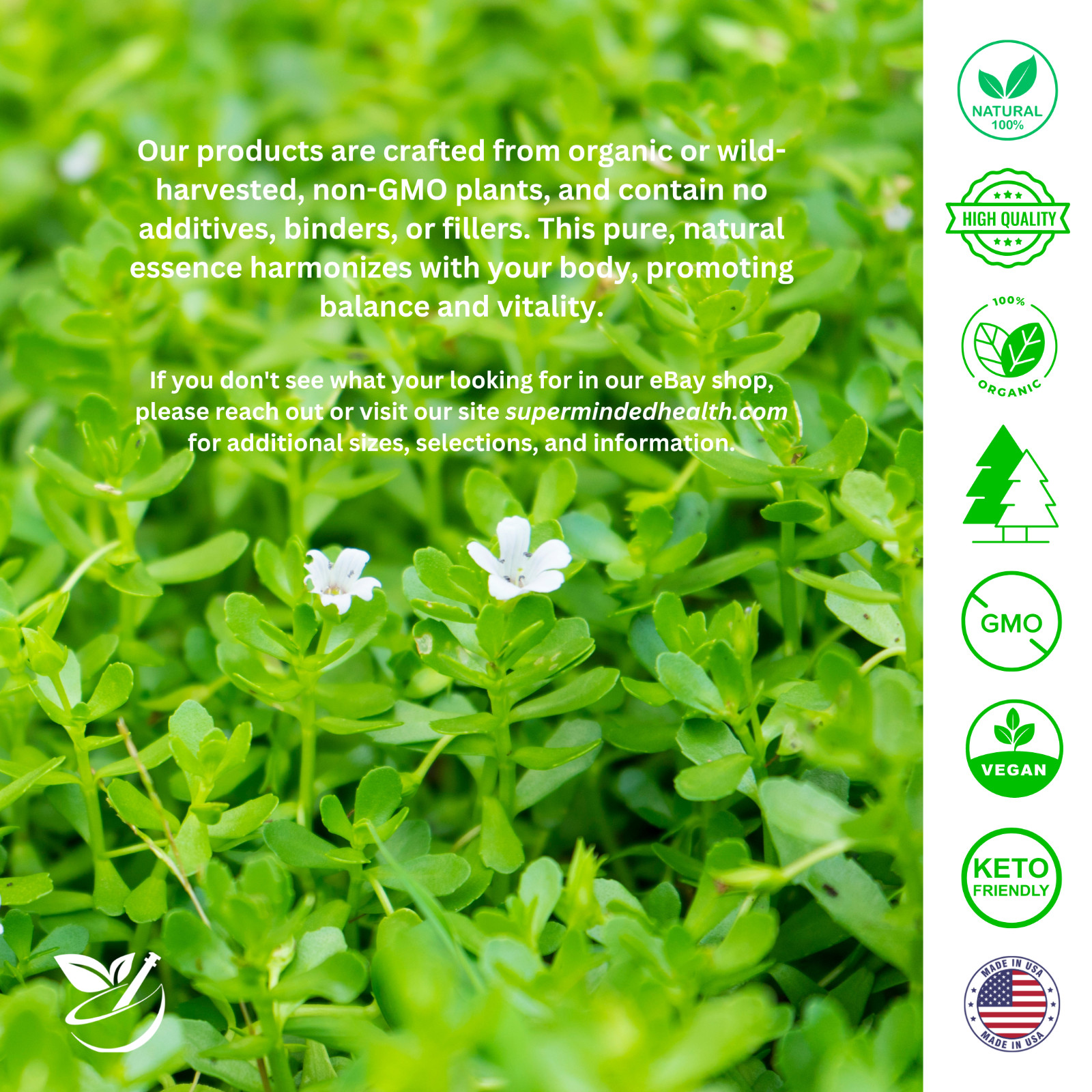 Organic Aloe Vera Leaf Capsules 500 Mg (Aloe Barbadensis)