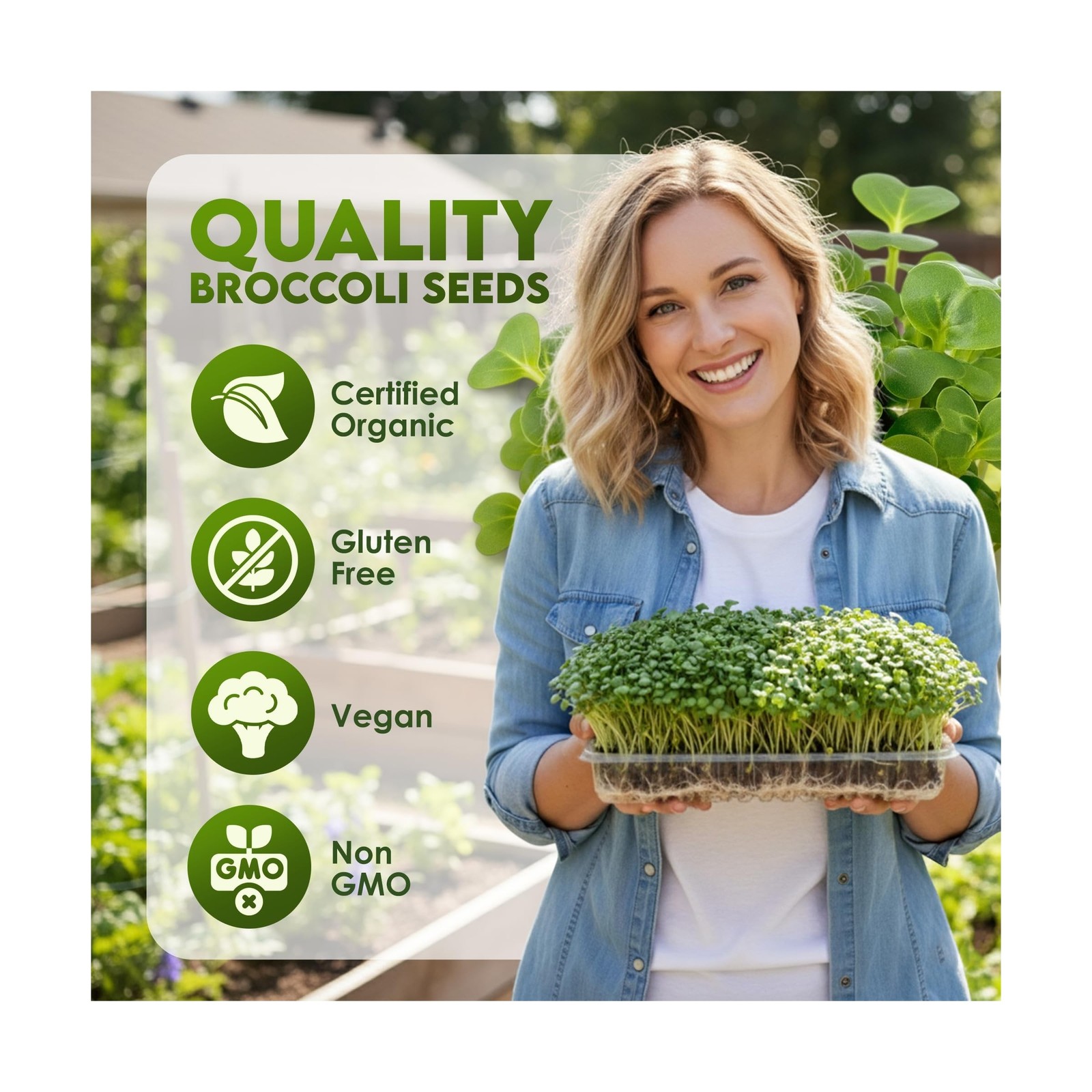 Nature Jims Sprouts Organic Broccoli Seeds for Sprouting – Certified Non-G