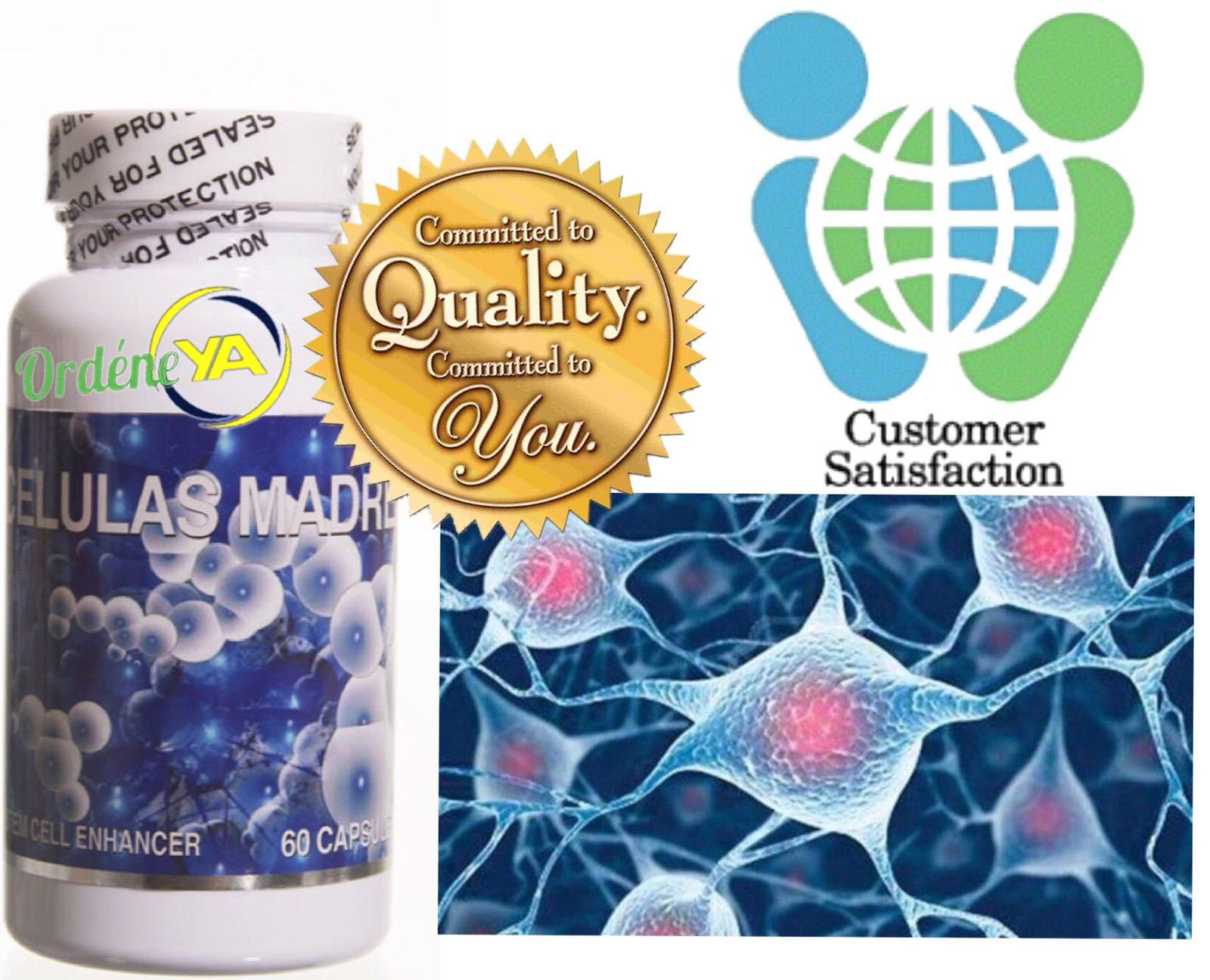 Celulas Madres 120 cap Madre + 1 Cream AFA