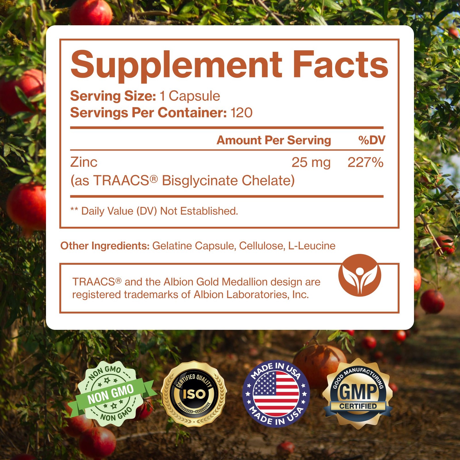 Zinc Bisglycinate 25mg Supplement – 120 Capsules for Immunity & Energy