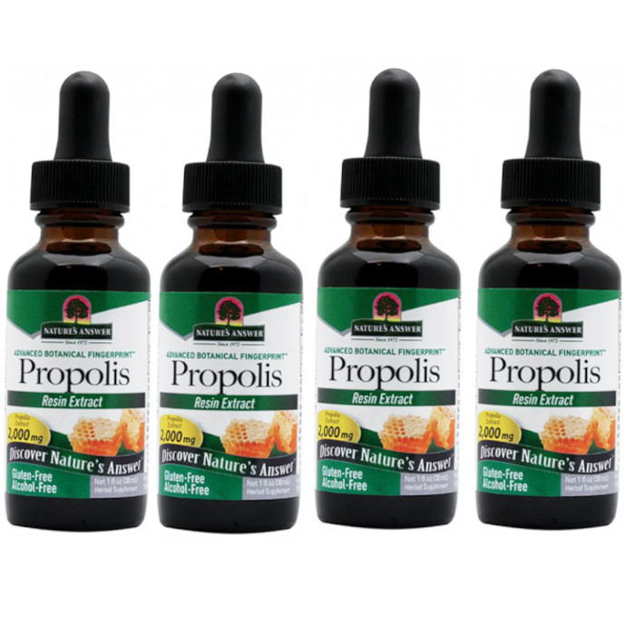 Nature’s Answer Propolis (Alcohol Free) 1 fl.oz Each (Pack of 4)