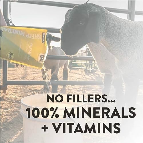 Natural Sheep Mineral Supplement – Essential Trace Minerals for Health & Growth