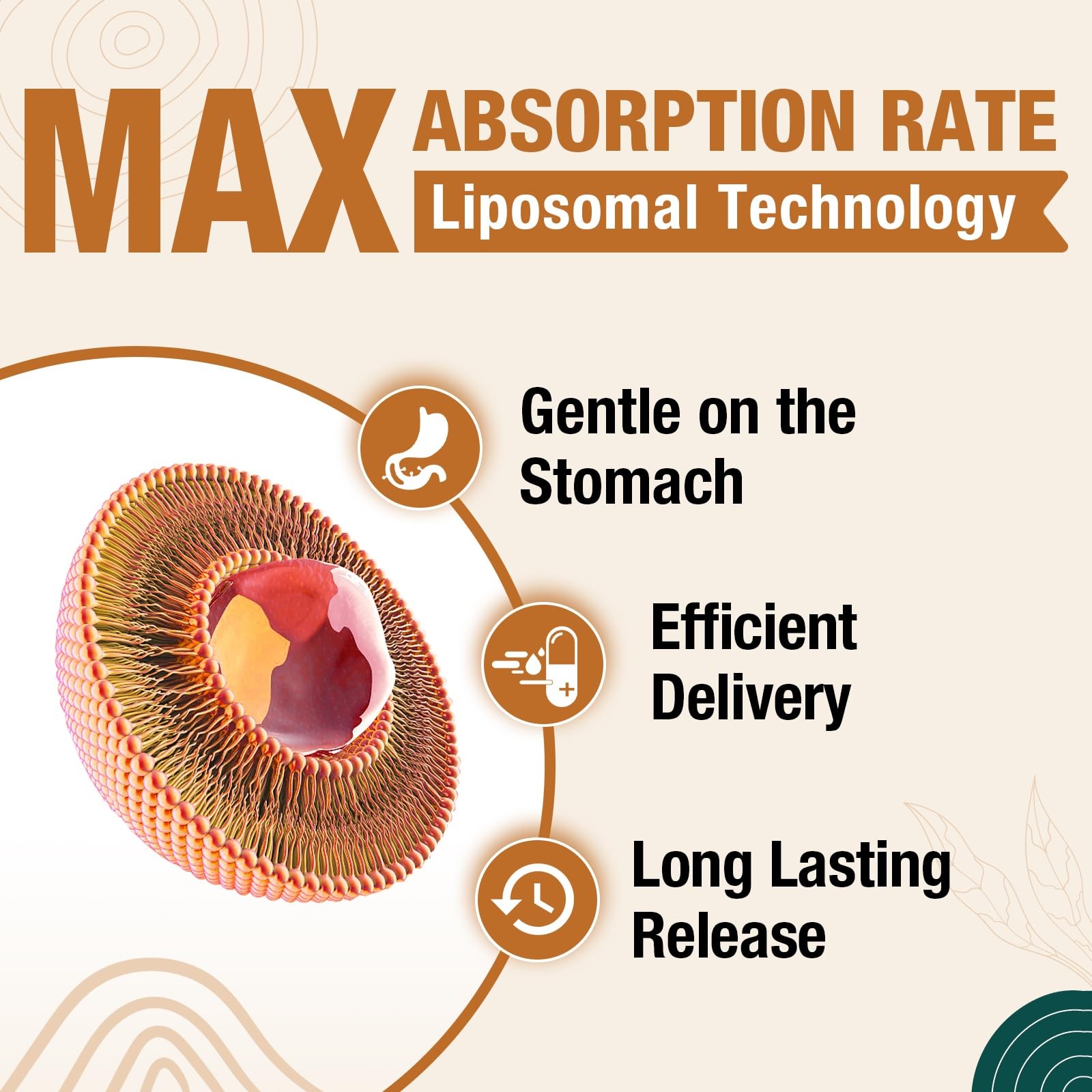Liposomal Brain Supplements for Memory and Focus – Plasmalogen with Curcumin…