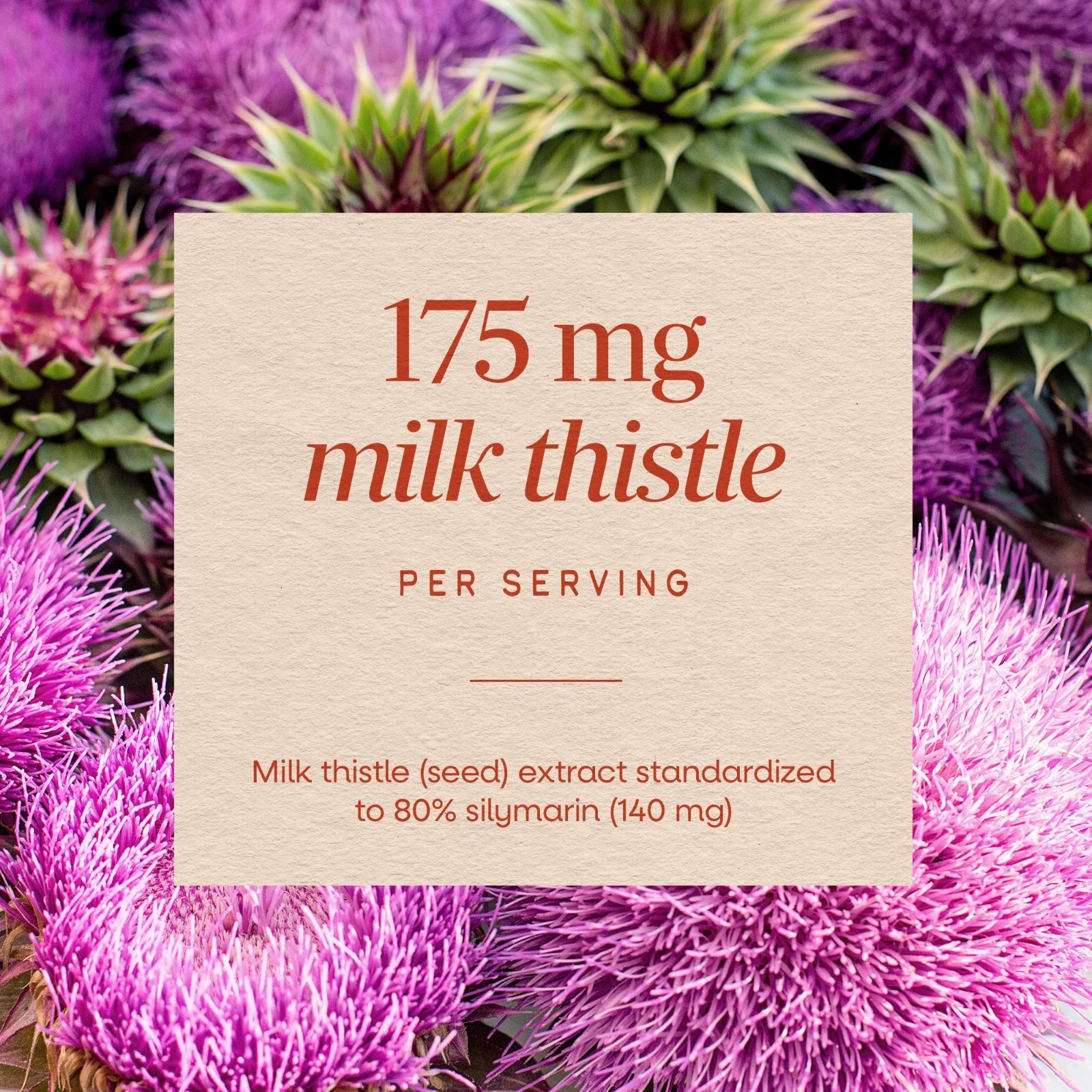 Milk Thistle Extract 175mg – 100 Capsules | Supports Liver Health & Antioxidants