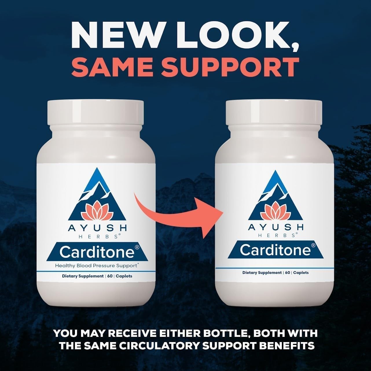 Ayush Herbs Carditone 60 Servings Herbal Dietary Supplement