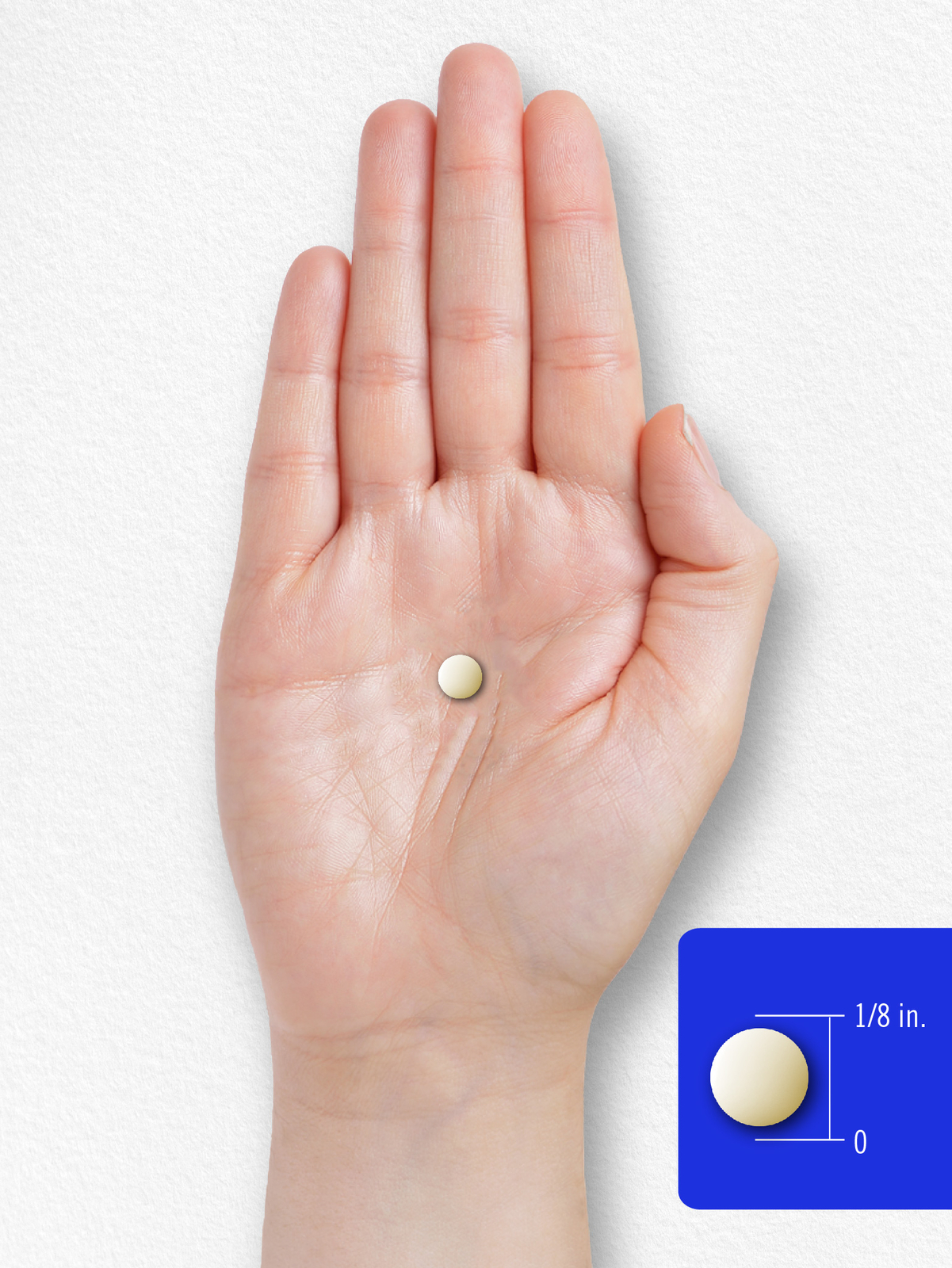 Folic Acid 800 mcg | 400 Tablets | Vegetarian, Non-GMO, Gluten Free | by Carlyle