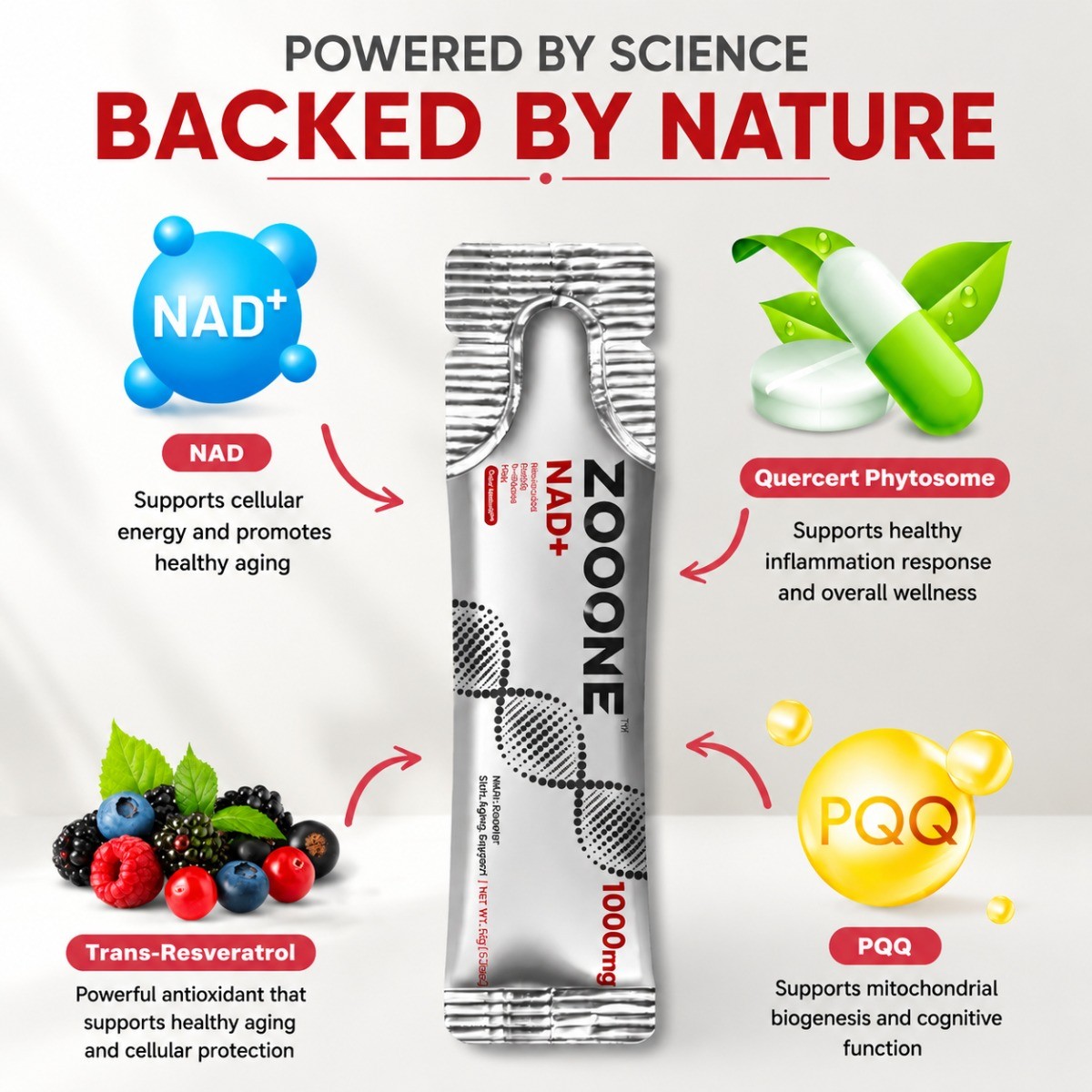 ZOOONE NAD+ 1000mg Liquid Drink Sticks Anti-Aging Energy Focus 30 Pack