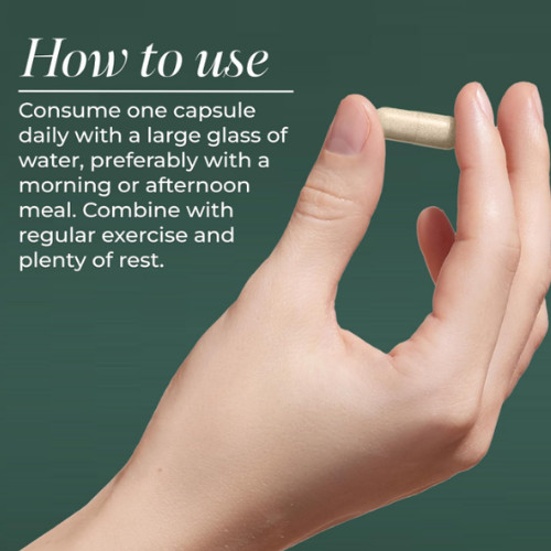 Primal Mind Fuel – Refuerzo cerebral para el enfoque, la energía, la memoria