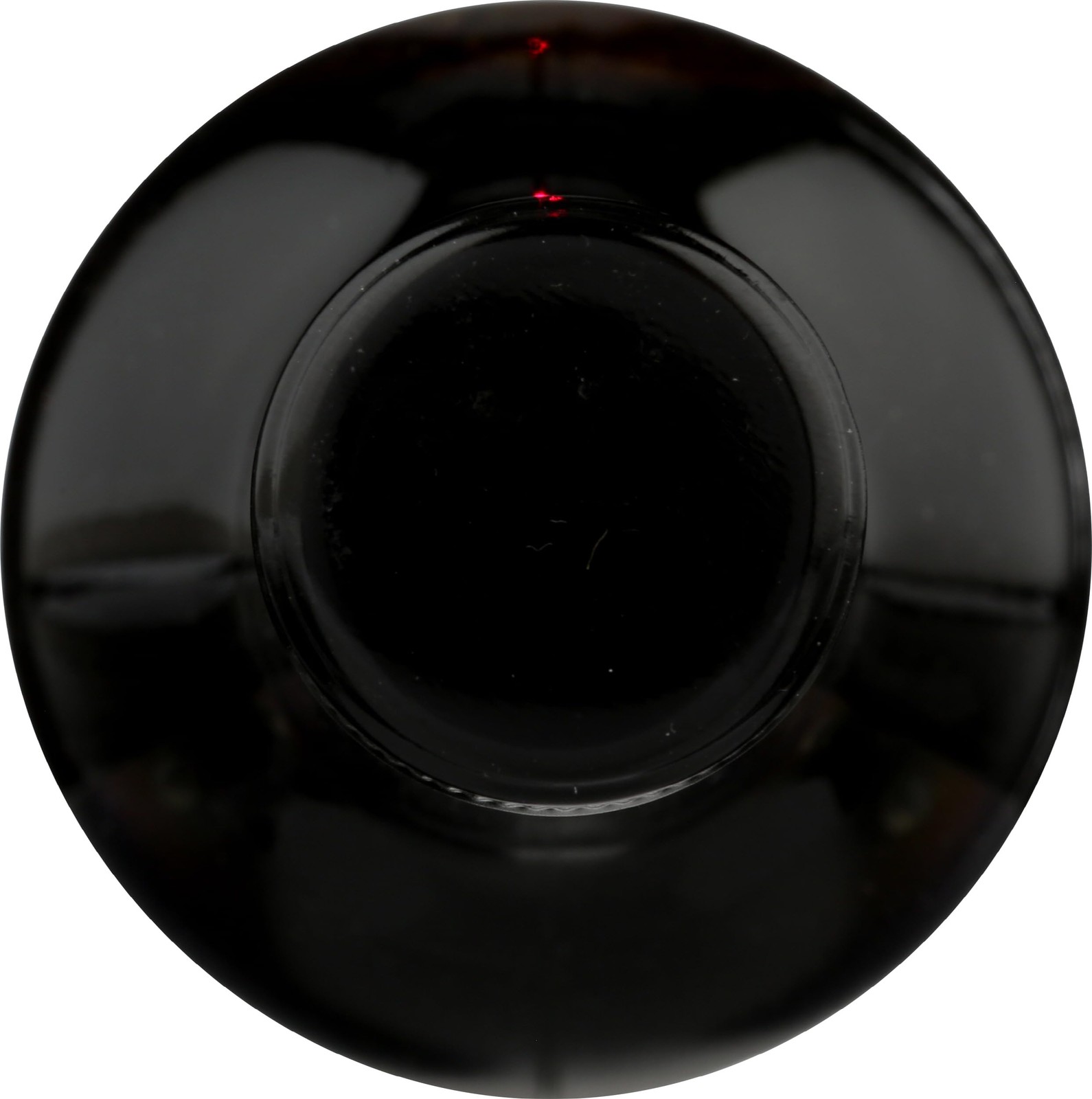Elderberry Juice Concentrate 12.5 fl. oz.