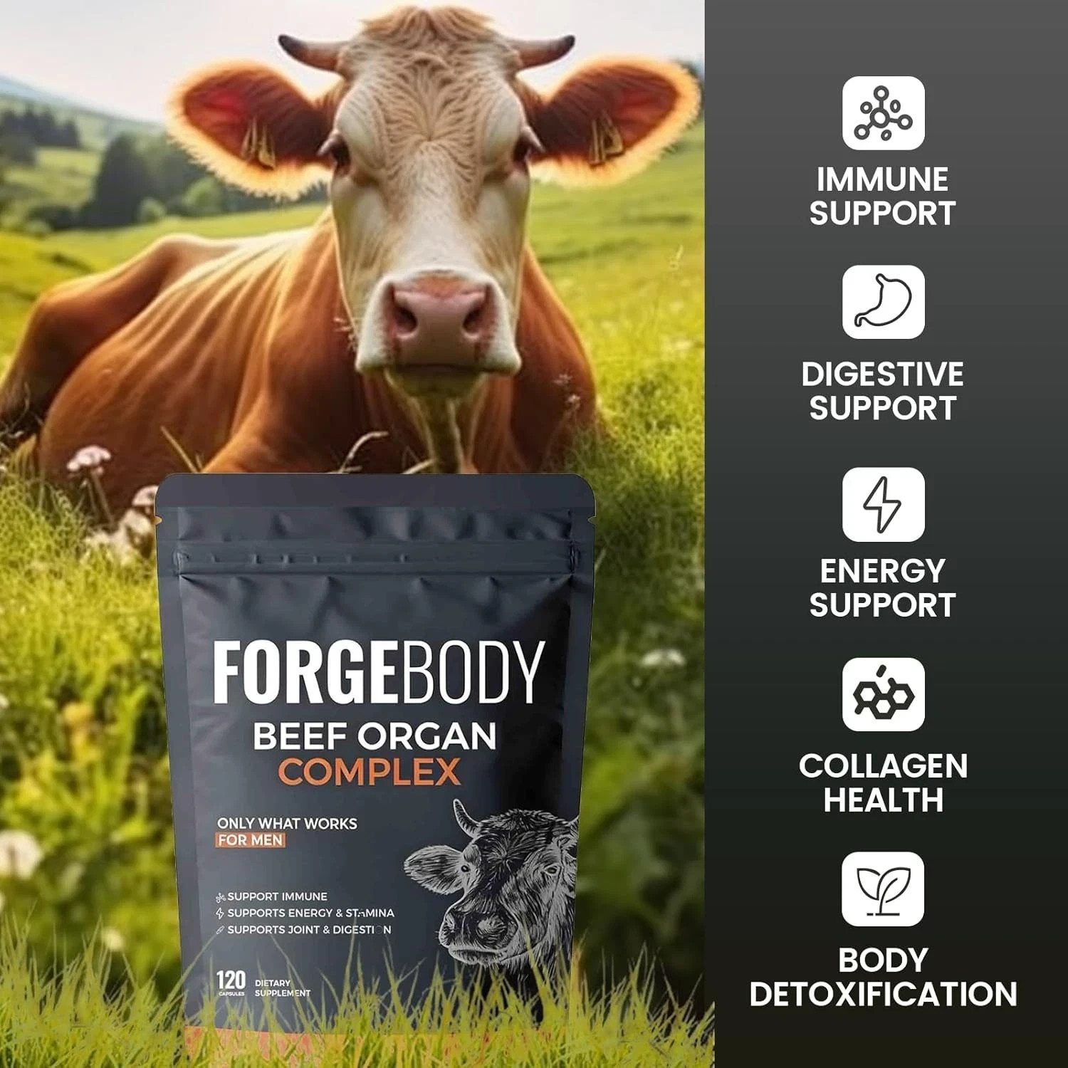 Forgebody Beef Organ Complex Supplement for Men 120 Capsules Grass Fed Beef