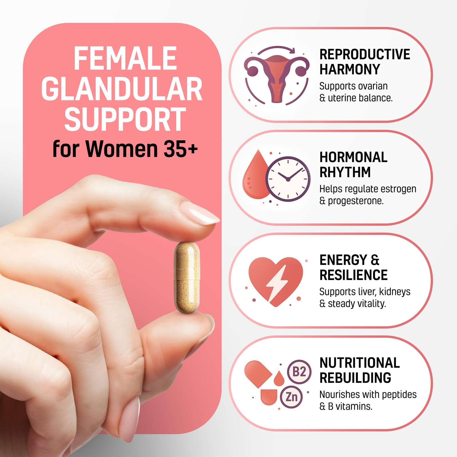 Next Form Beef Organ Supplement for Women 6 in 1 180 Count (Pack of 1)