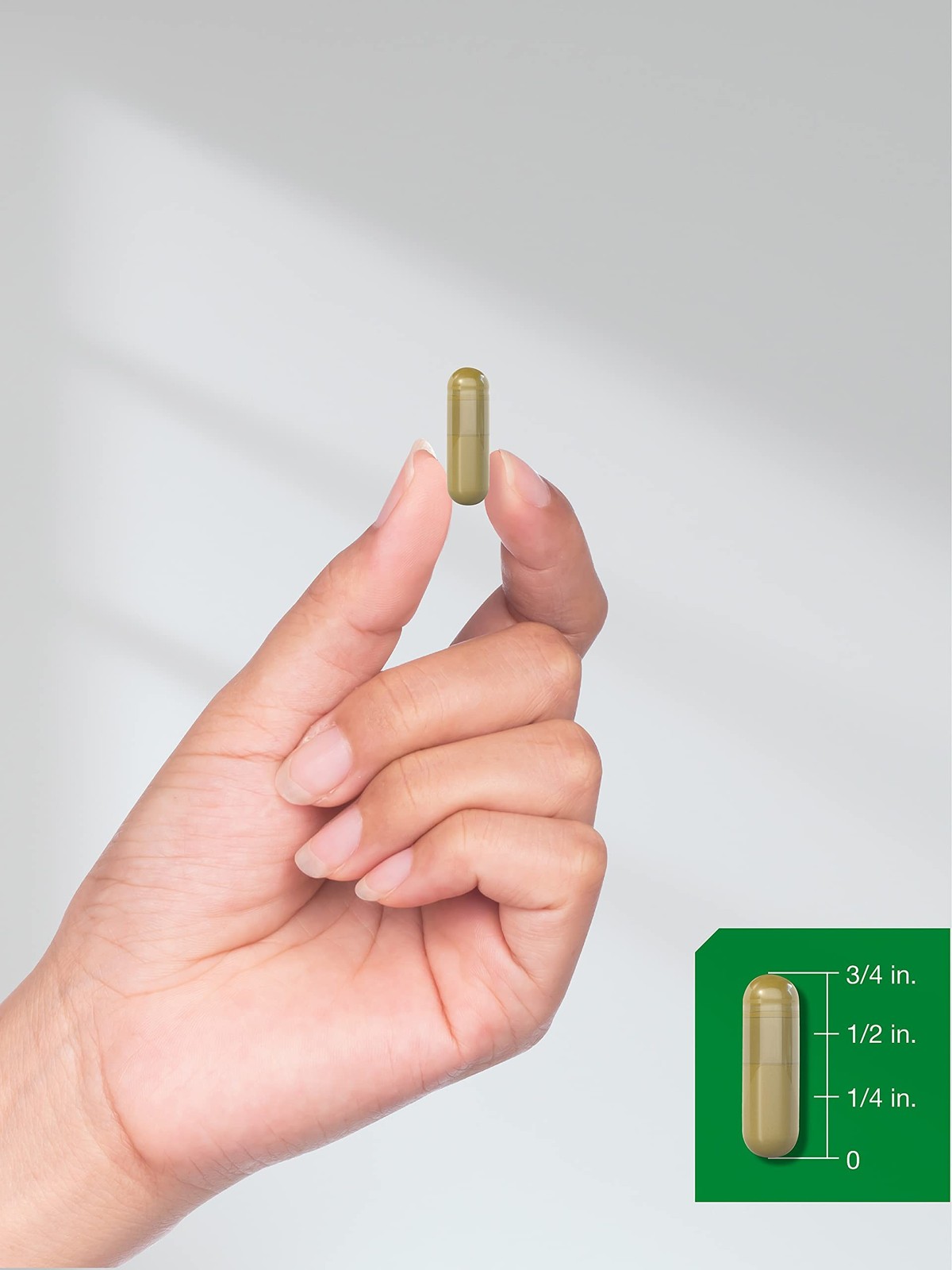 Horbäach Horsetail Supplement | 180 Capsules | Traditional Herbal Extract |