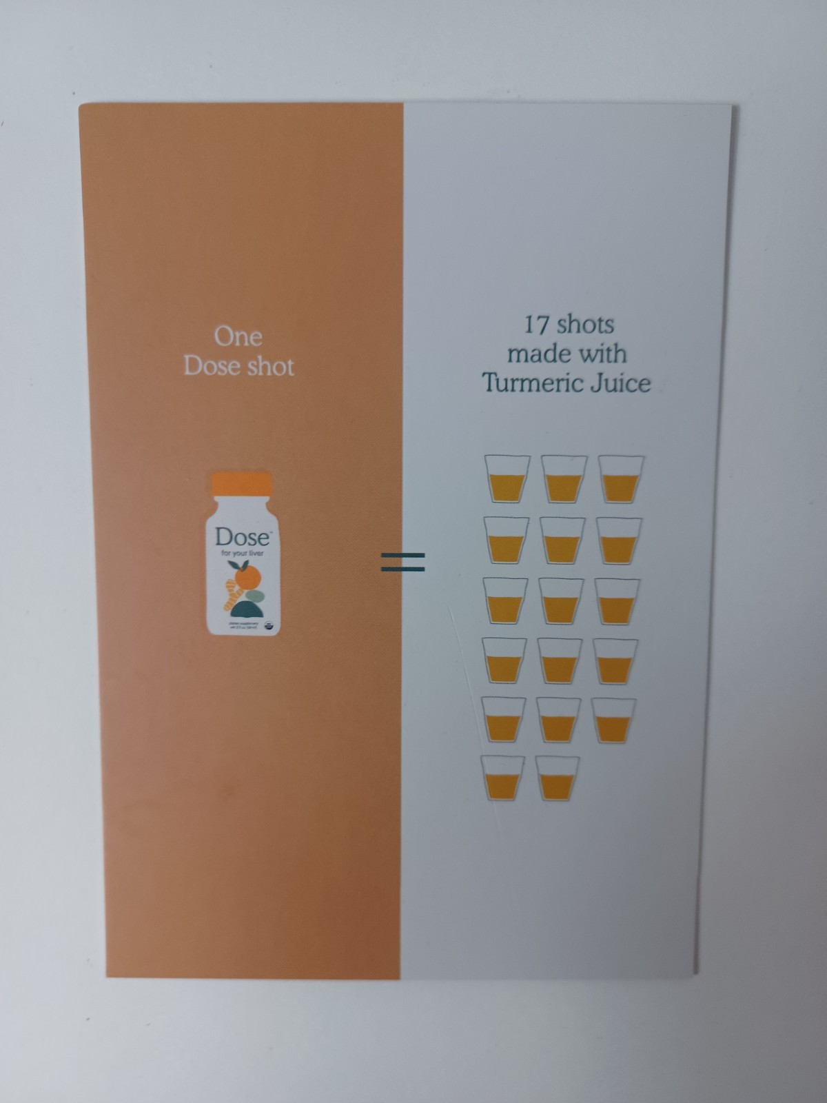 DOSE for Your Liver 16oz Bottle Cleanse Detox & Repair Organic Milk Thistle