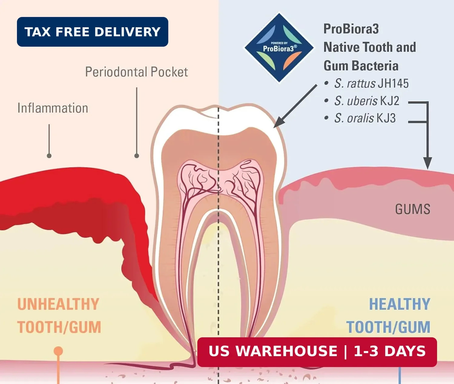 ProBiora Kids Oral-Care Chewable Probiotic Tablets | Probiotic Supplement Design