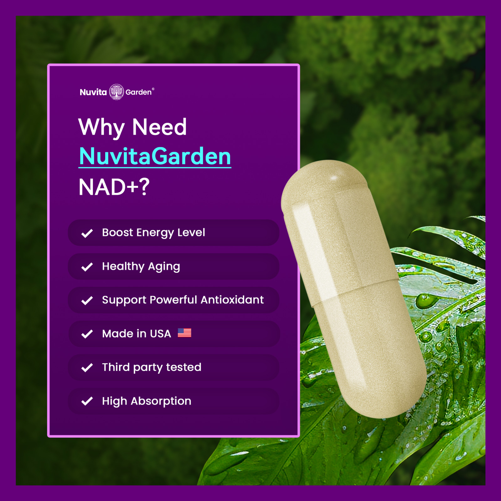 NAD+ 1,119mg Per Serving, 120 Veggie Capsules