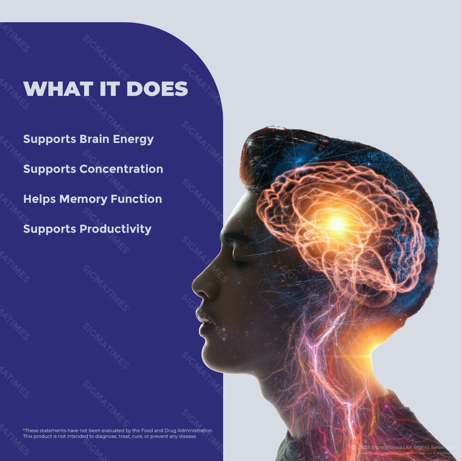 MindCept Advanced Capsules – Memory, Focus & Brain Health Support – 3 Pack