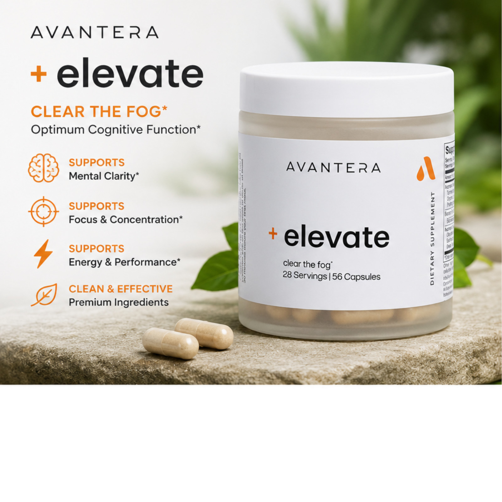 Avantera Elevate Premium Nootropic Memory & Focus Support Energy 56 Capsules