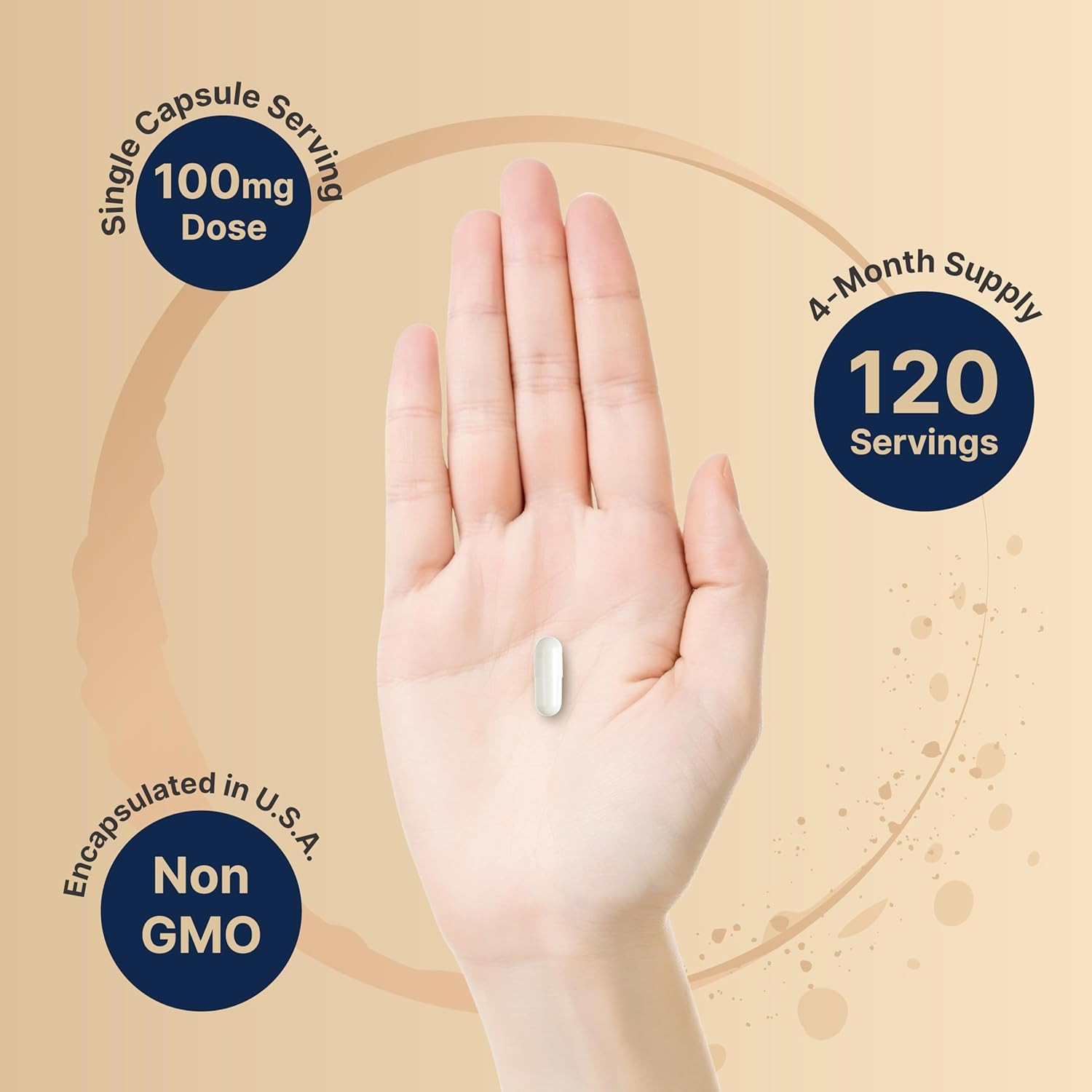 DHEA 100Mg, 240 Capsules | Max Strength, Micronized Grade for Better Absorption