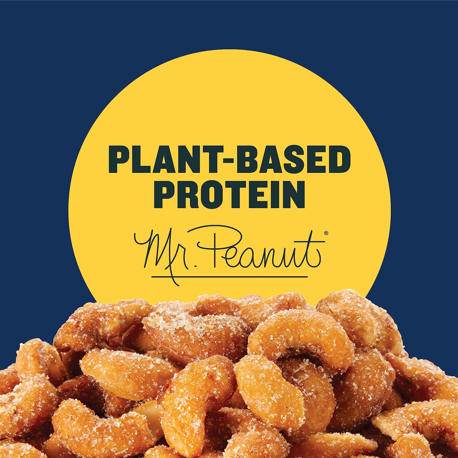 PLANTERS Deluxe Honey Roasted Whole Cashews, 8.25 Ounce (Pack of 1), Blue