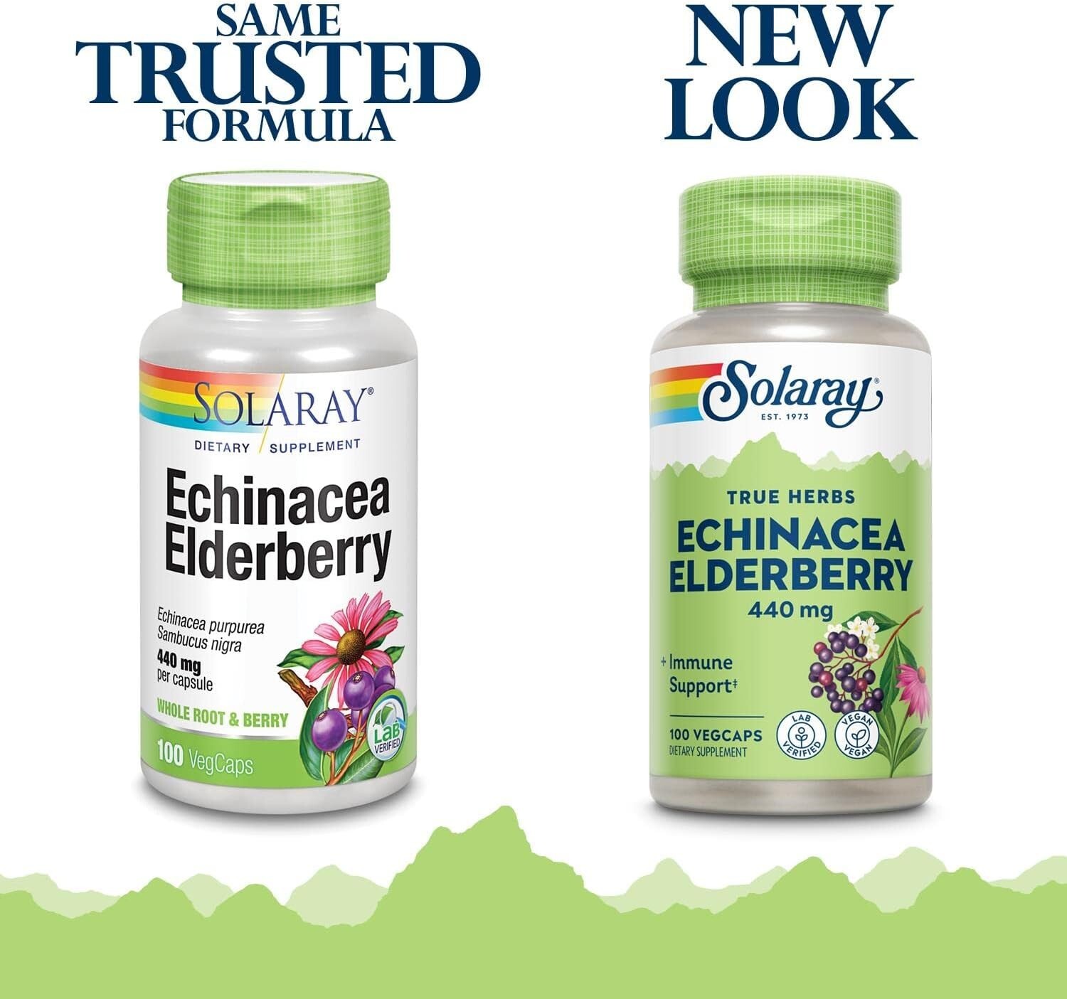 440 mg Echinacea and Elderberry Capsules – 100 Caps for Immune Boosting
