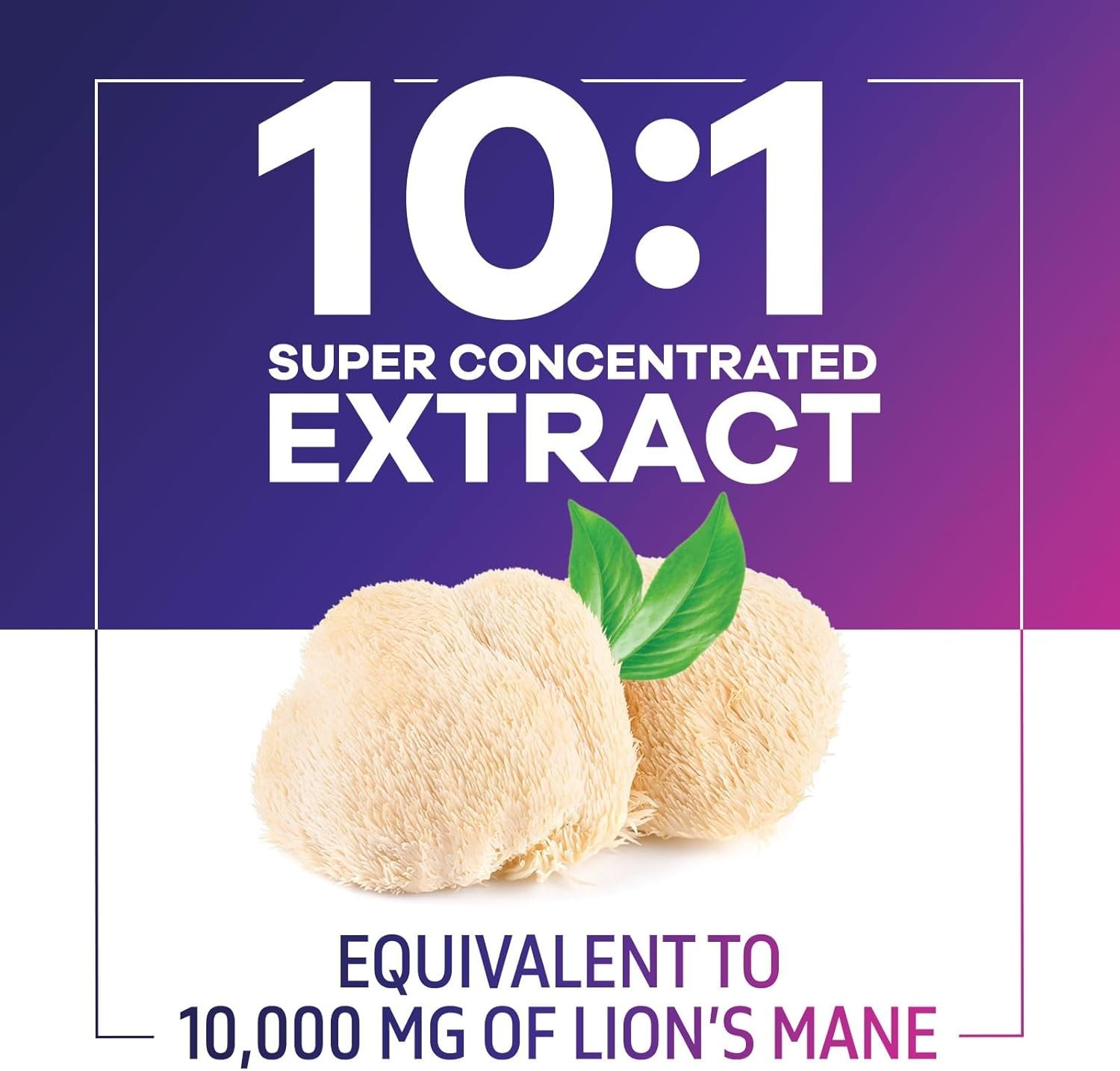 Lions Mane Supplement Capsules 10,000mg, Premium Lions Mane Mushroom for Support