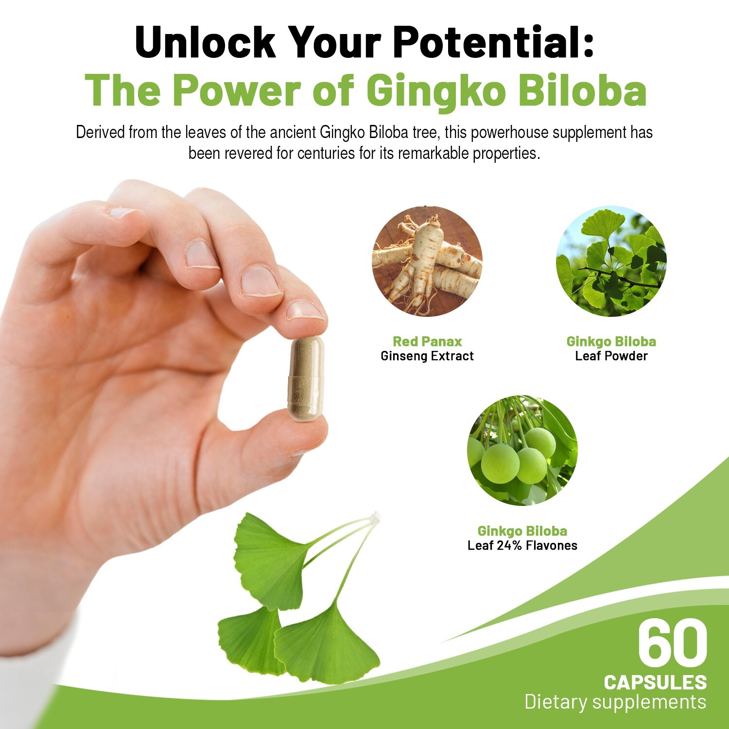 Ginkgo Biloba, Mood Booster, Supports Brain Function – 60 Cap, Pack of 3