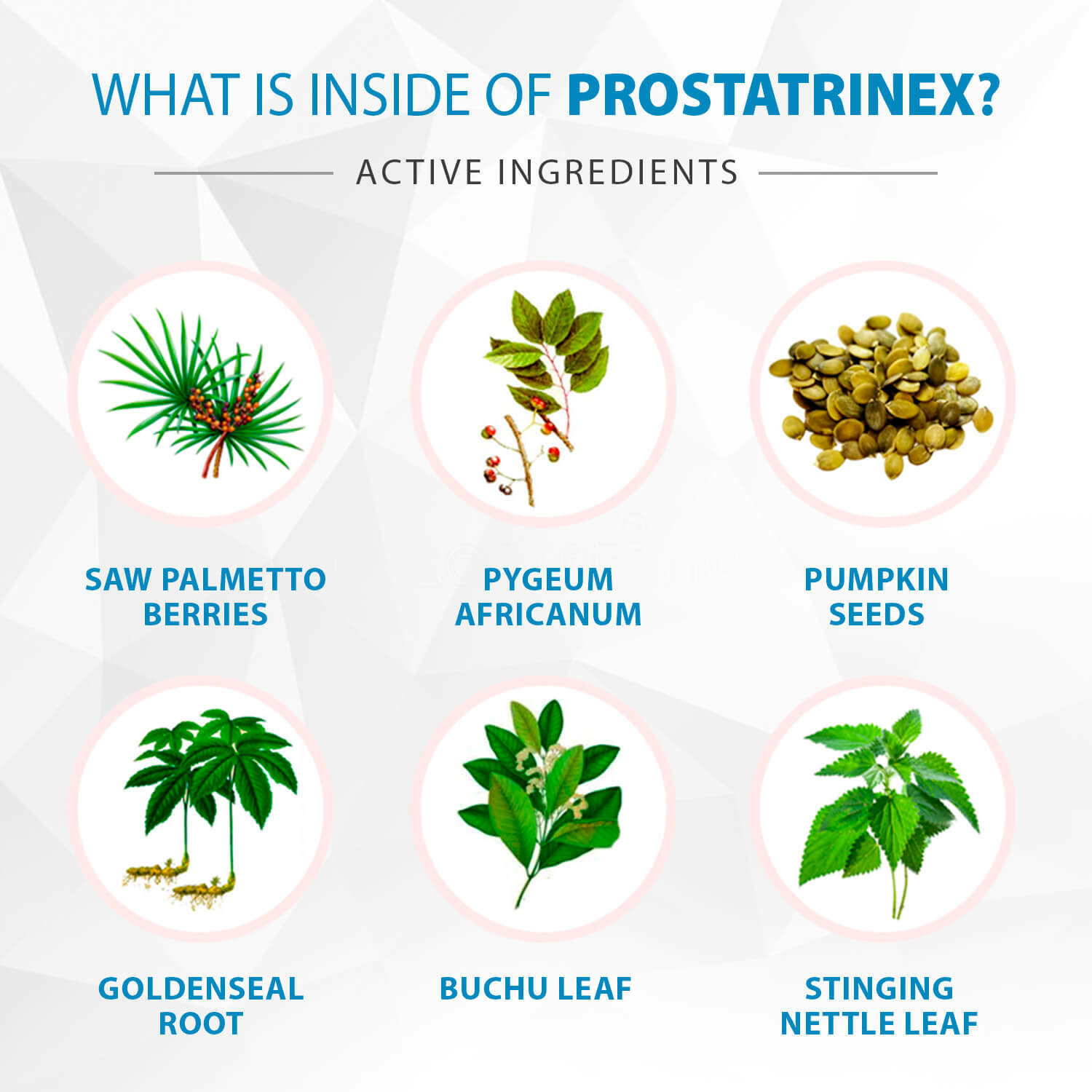 Prostatrinex Prostate Support – 5 Bottles – Official Seller – 100% Natural