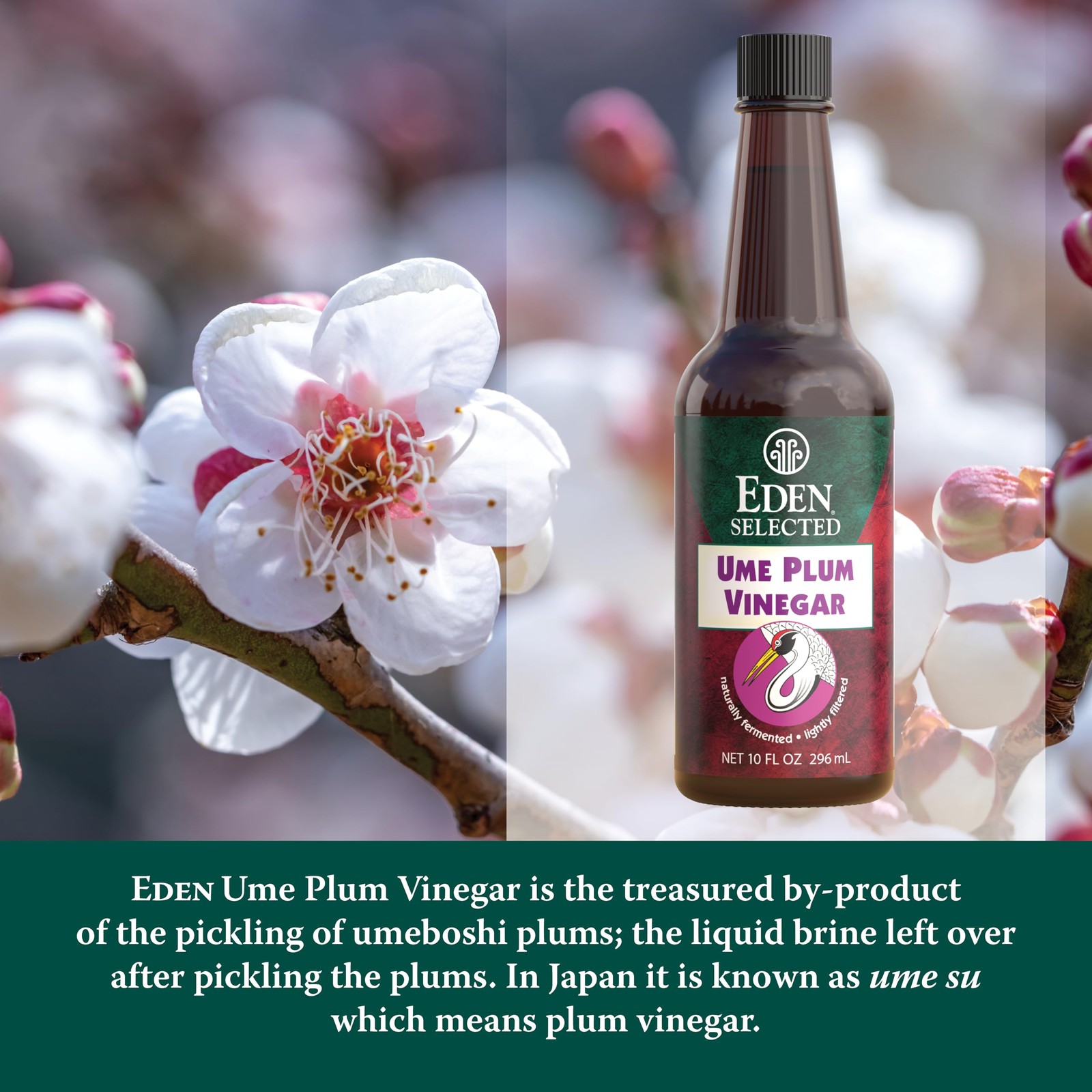 Eden Foods Ume Plum Vinegar – 10 fl oz 10 Fl Oz (Pack of 1)