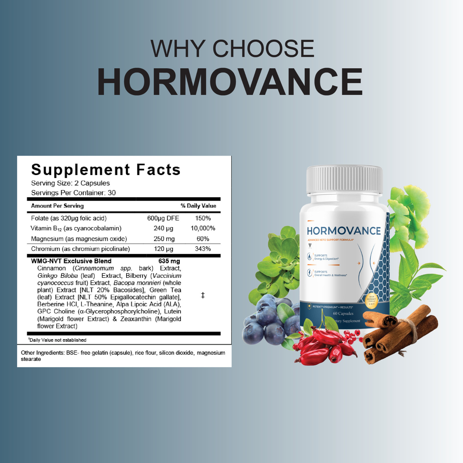 (3 Pack) HORMOVANCE Advanced Keto Support, HORMO VANCE Formula (180 Capsules)