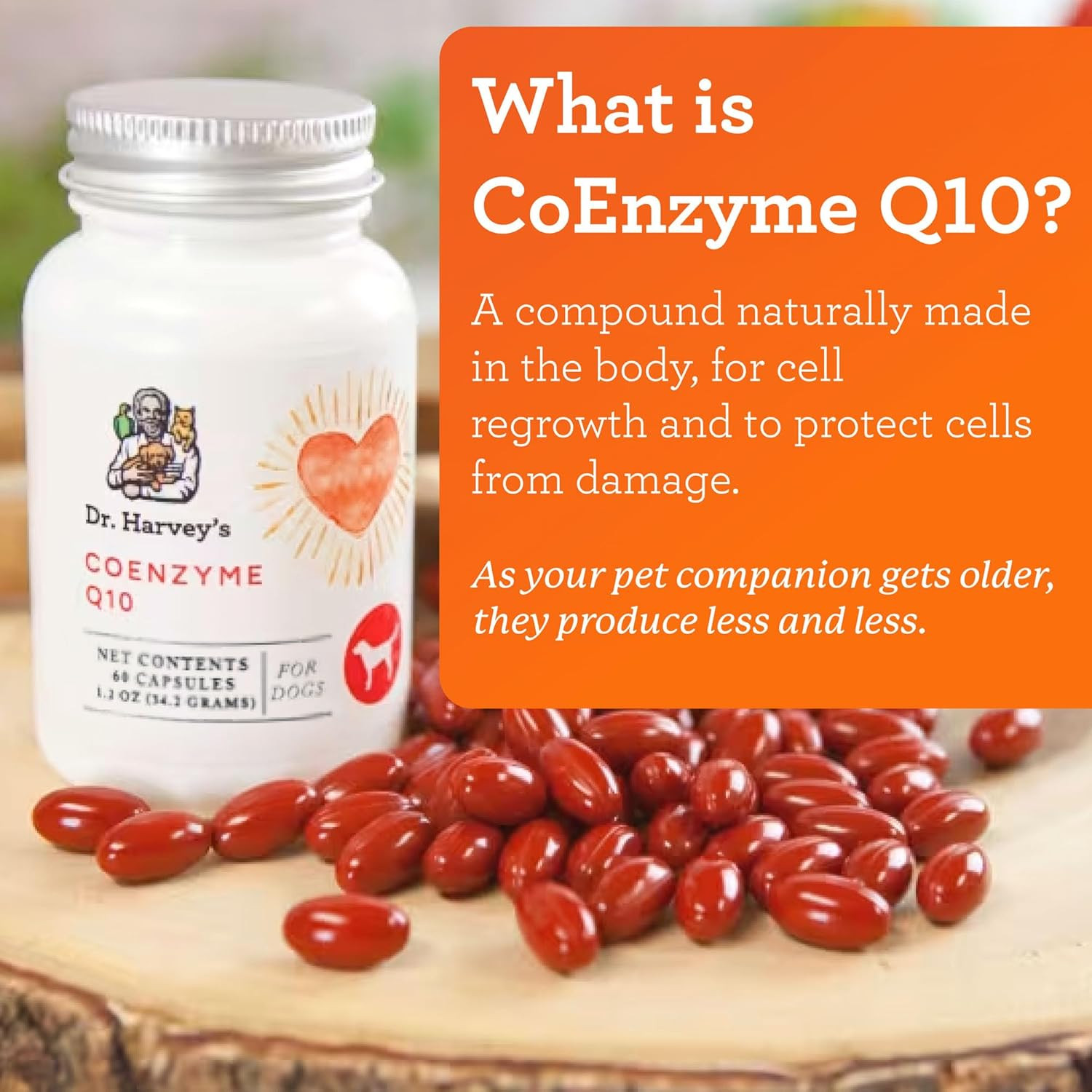 Coenzyme Q10 – Heart & Cardiovascular Support Supplements for Dogs, 60 Capsules