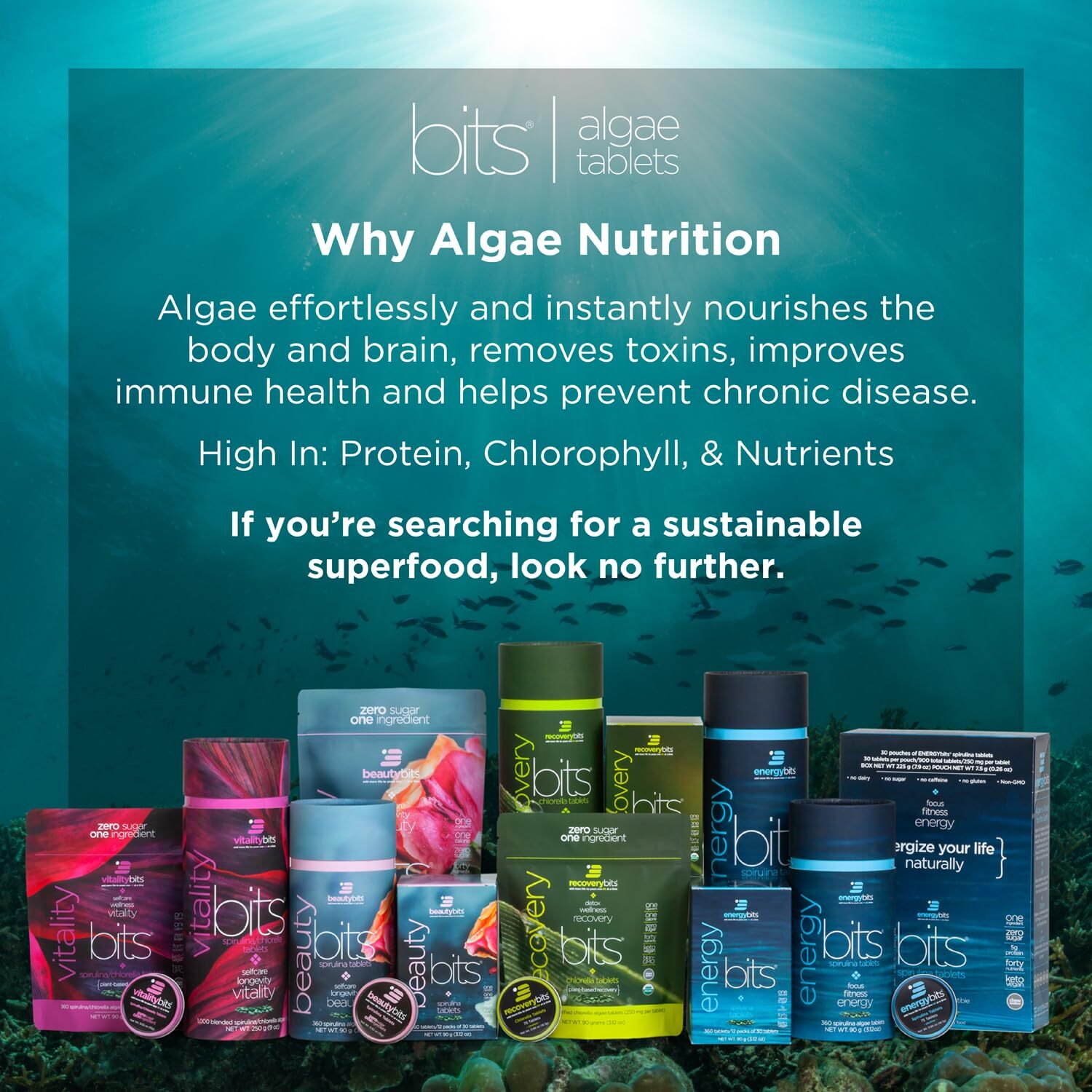 RECOVERYbits – Organic Chlorella Tablets – Plant-Based Algae Superfood – Chlo…