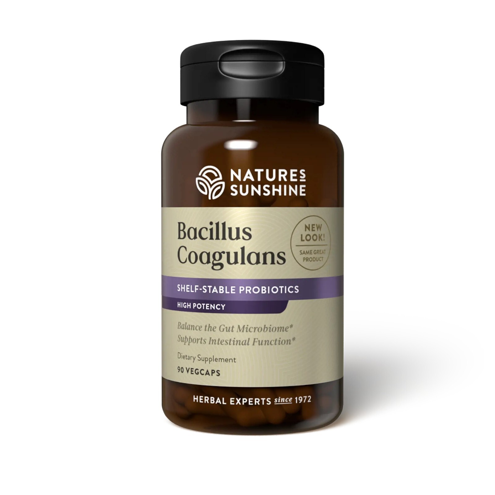 Bacillus Coagulans Probiotic and Prebiotic Combination – 90 vegcaps