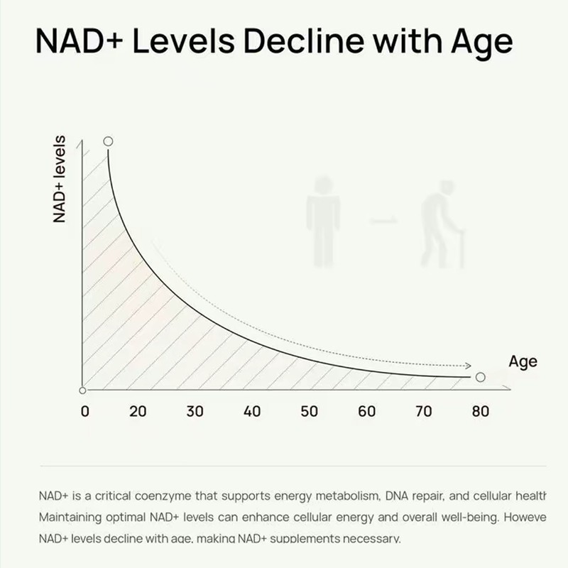 Selerb NAD+ Supplement for Men-With Liposomal-NAD+,CoQ10+ L-Carnitine, L-Arginin