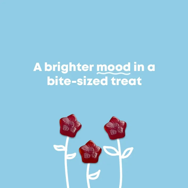 JoySpring Mood Munchies – Saffron Gummies for Mood & Focus 1-3 PACK