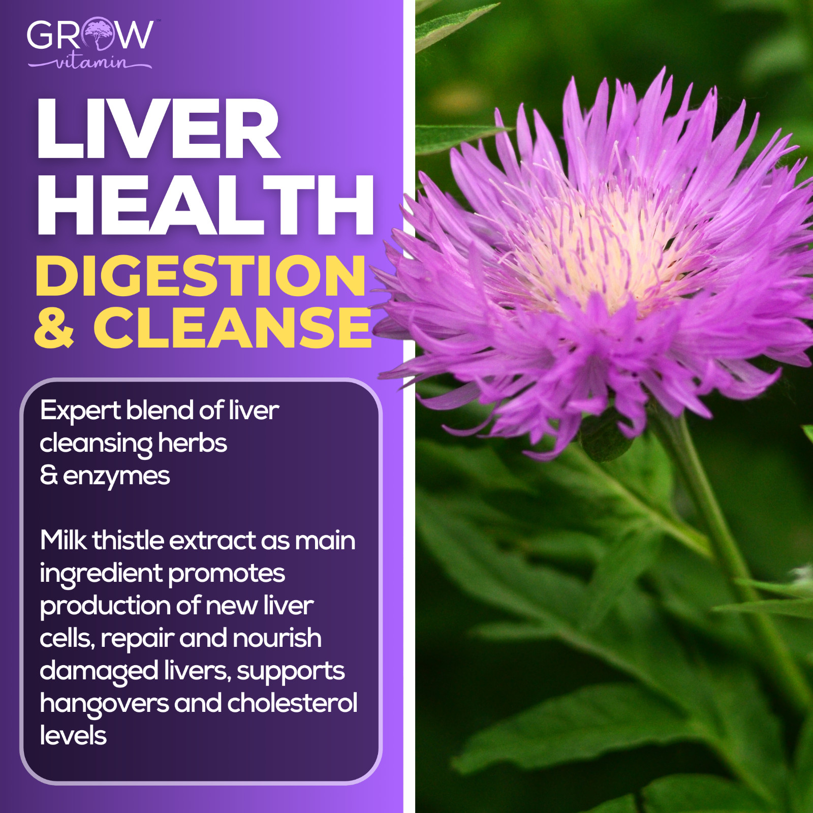 Best Liver Cleanse Repair Pills Detox Cleanser Supplements Men Women Care