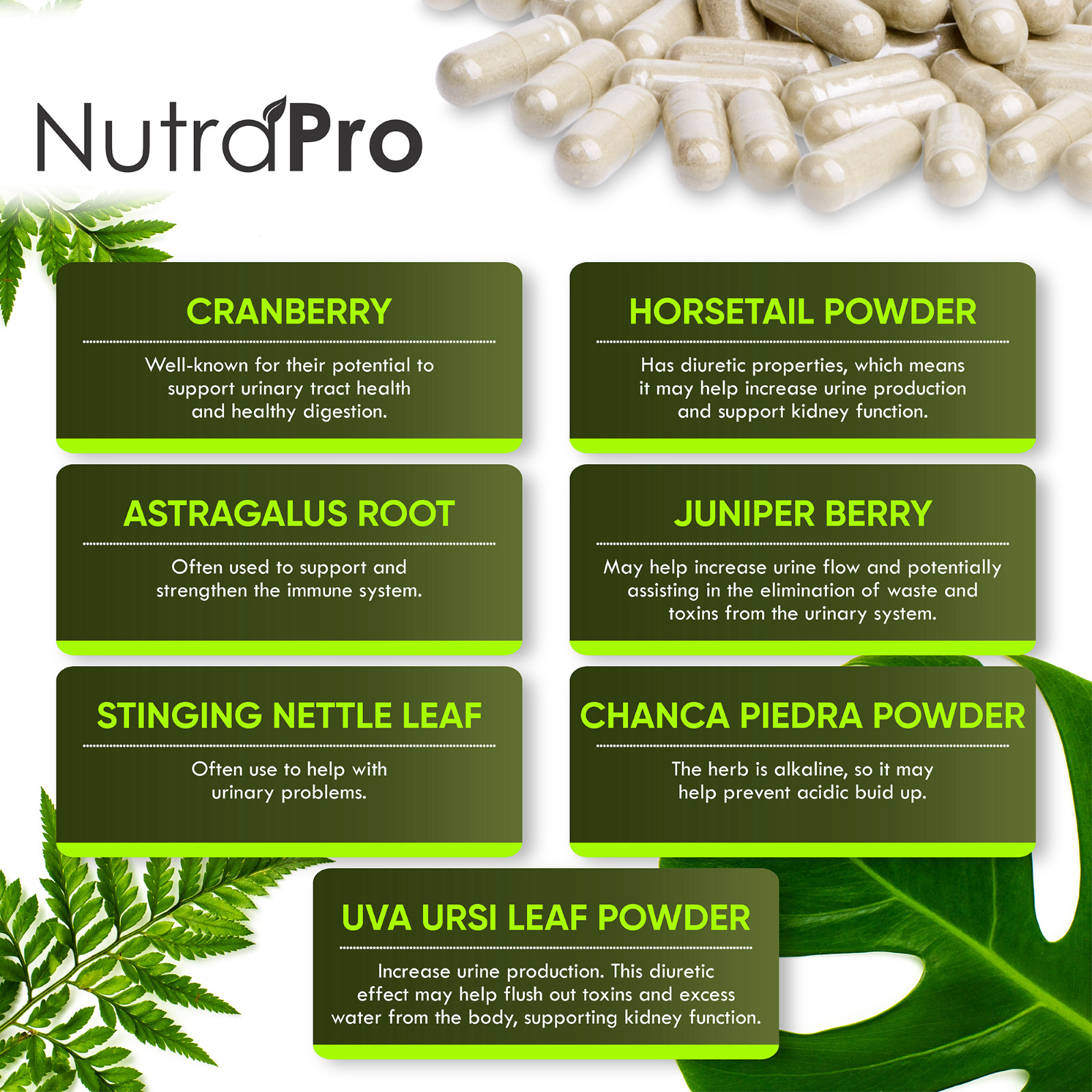 Kidney Cleanse Detox & Repair and Bladder Support- Supplement for Kidney Restore