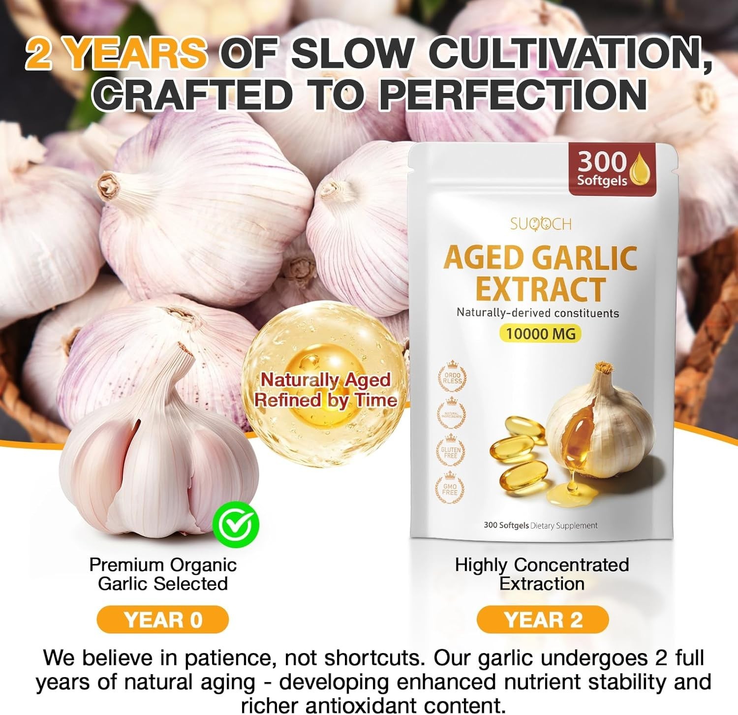 Aged Garlic Extract – 300 Count Aged Garlic Supplements for Daily Wellness & …
