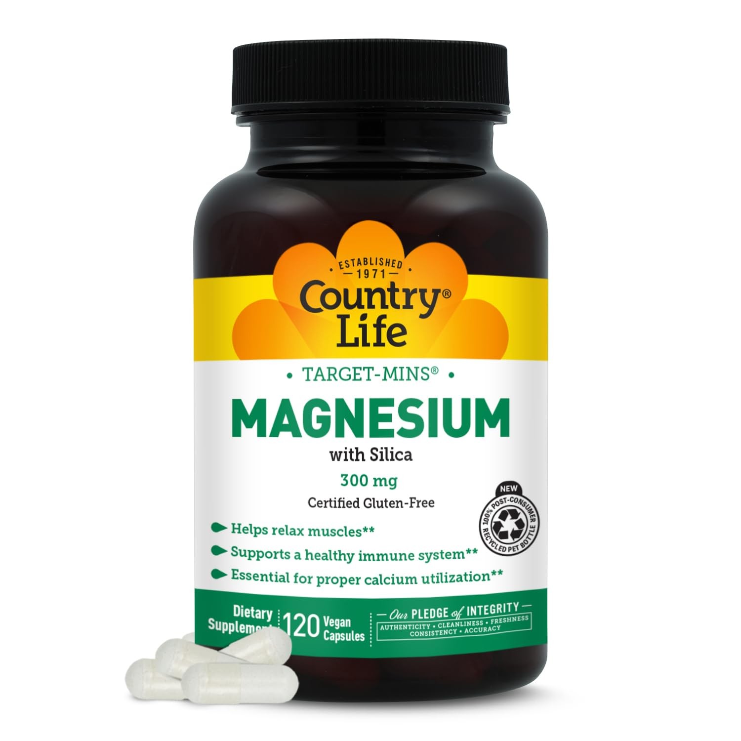 Target-Mins Magnesium with Silica 300 mg 120 Vegetarian 120 Count (Pack of 1)