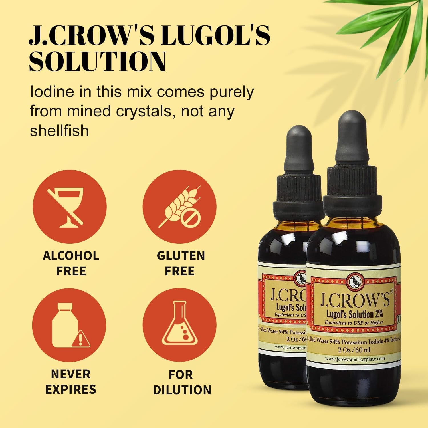 (6-Pack) J.CROW’S Lugol’s Solution Iodine 2 Percent, High Potency Drops for